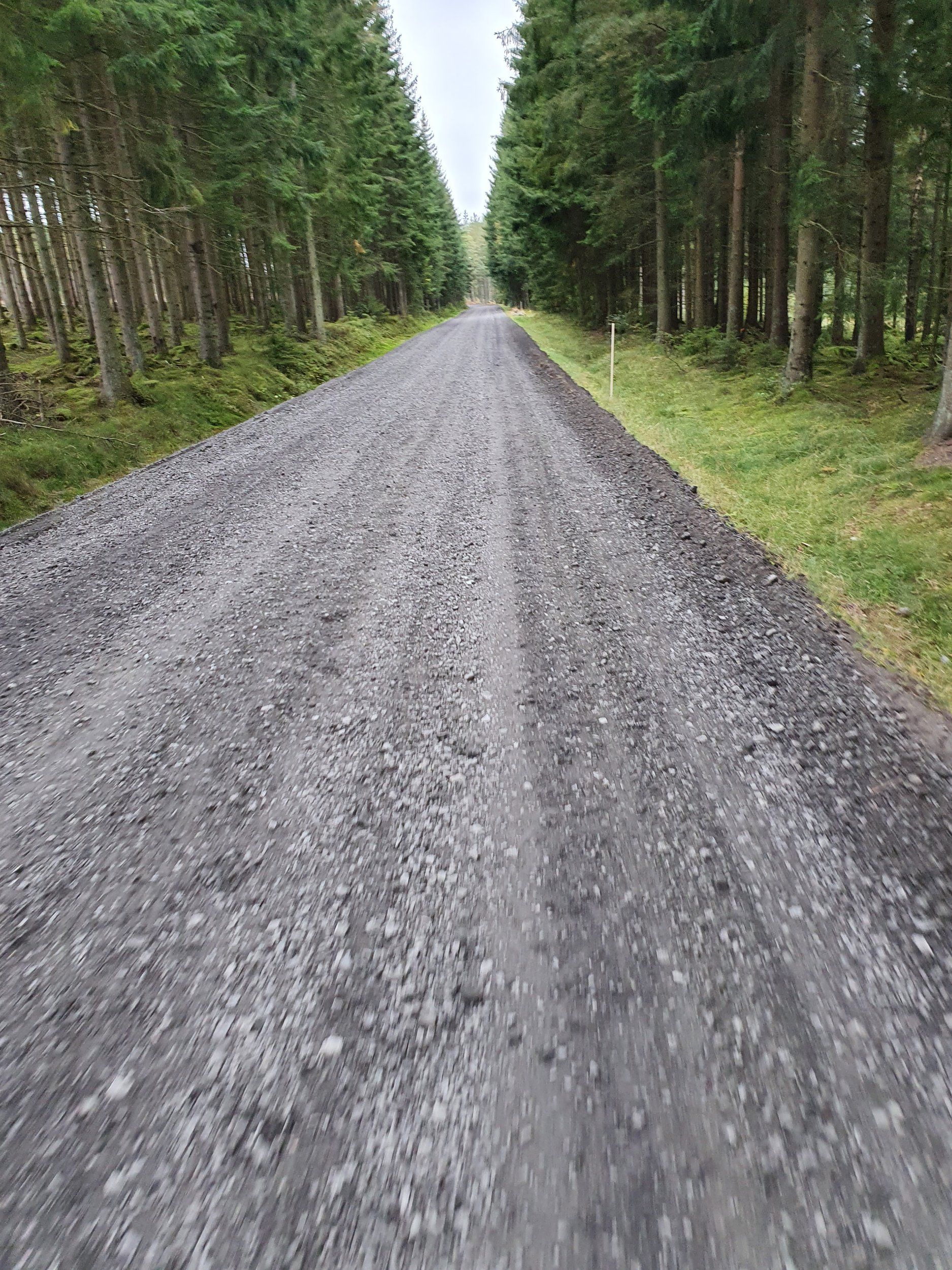 20200921_163555.jpg