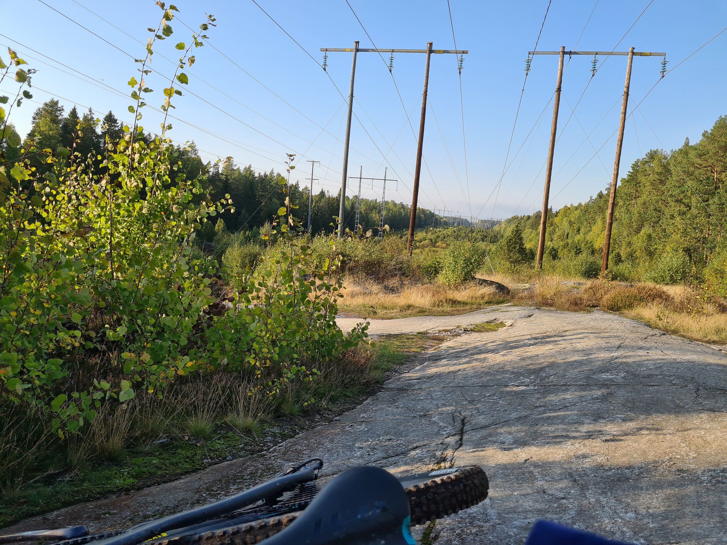 20200927_152759.jpg