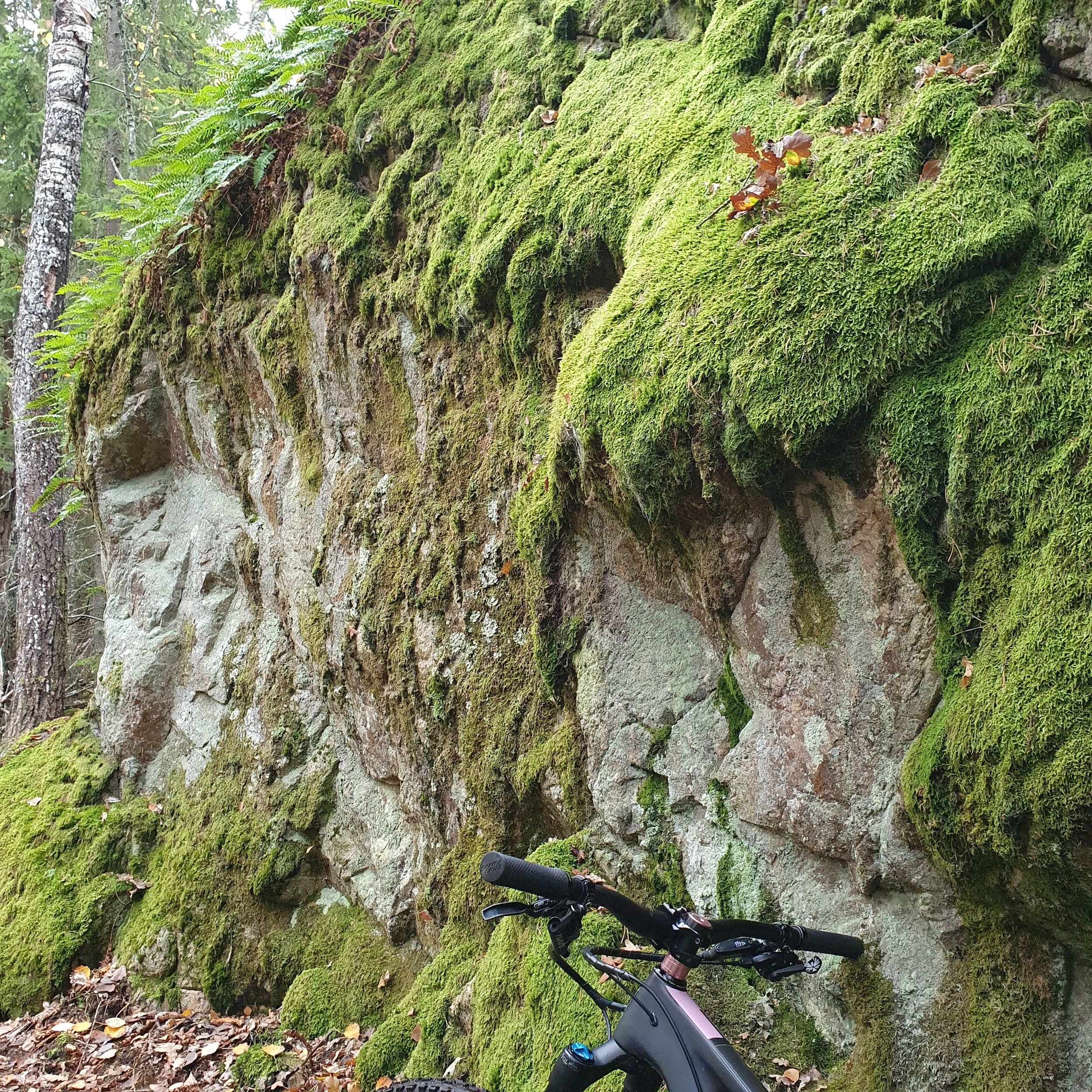 20200928_095309.jpg