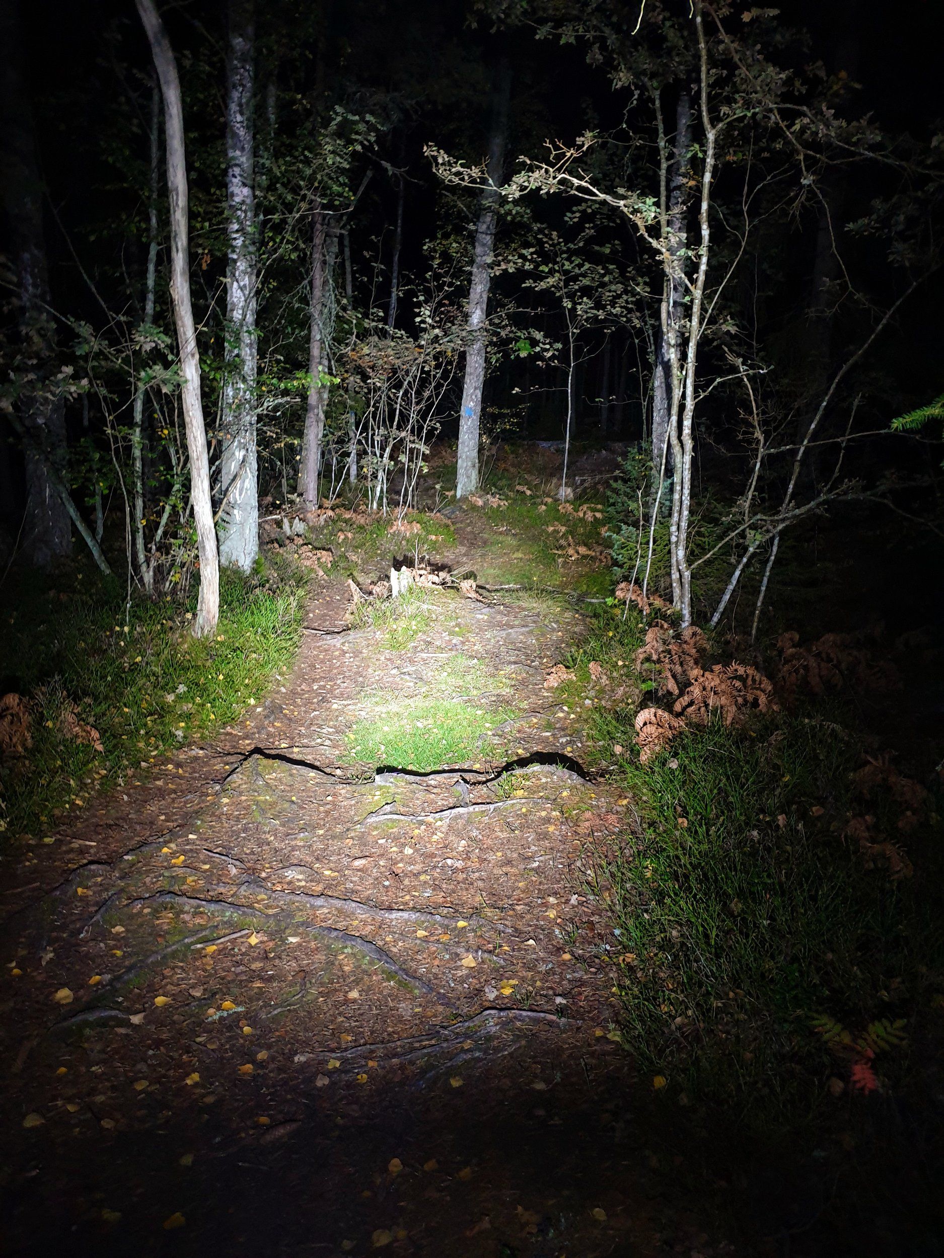 20200928_201240.jpg