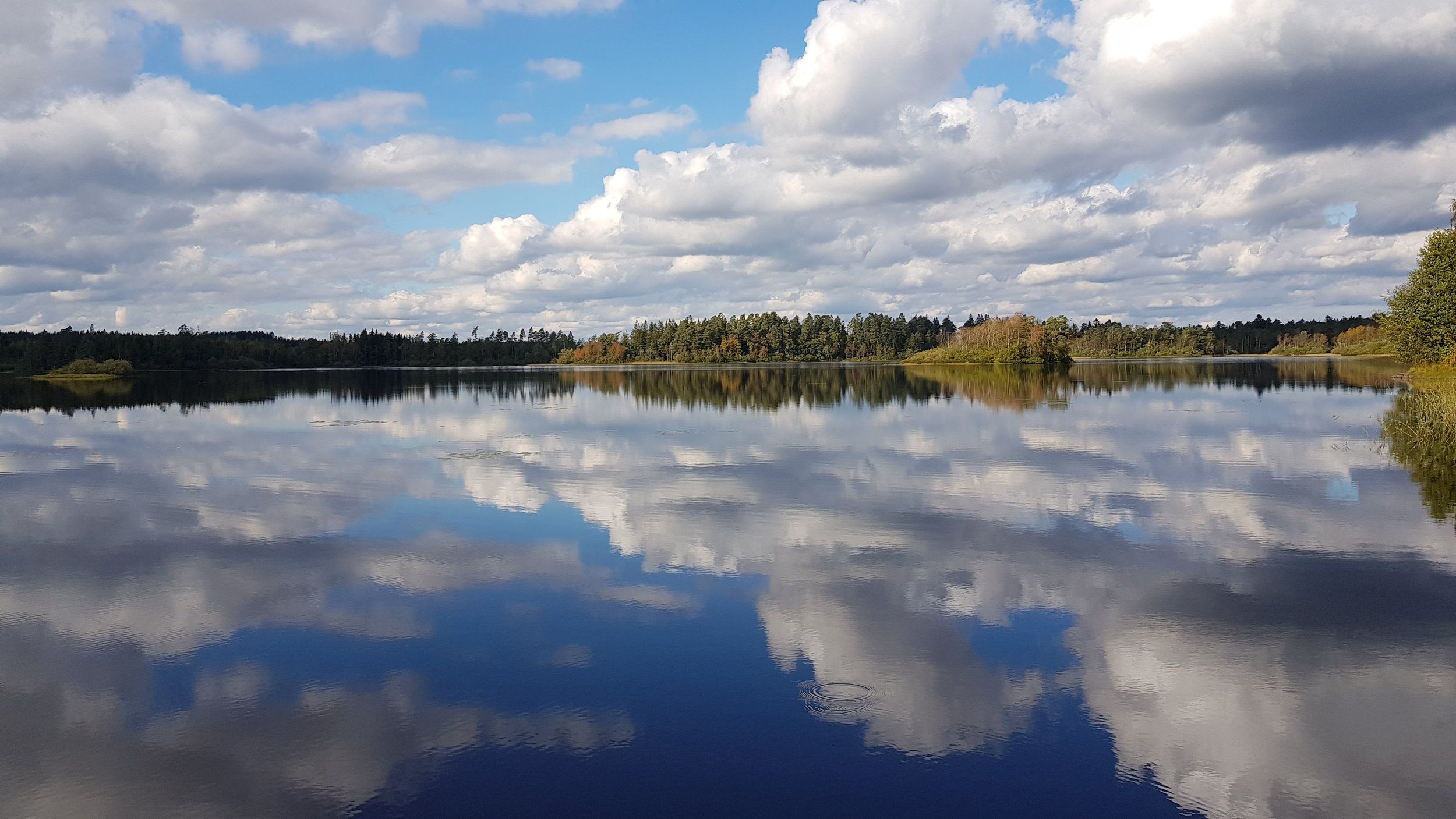 20200929_143446.jpg