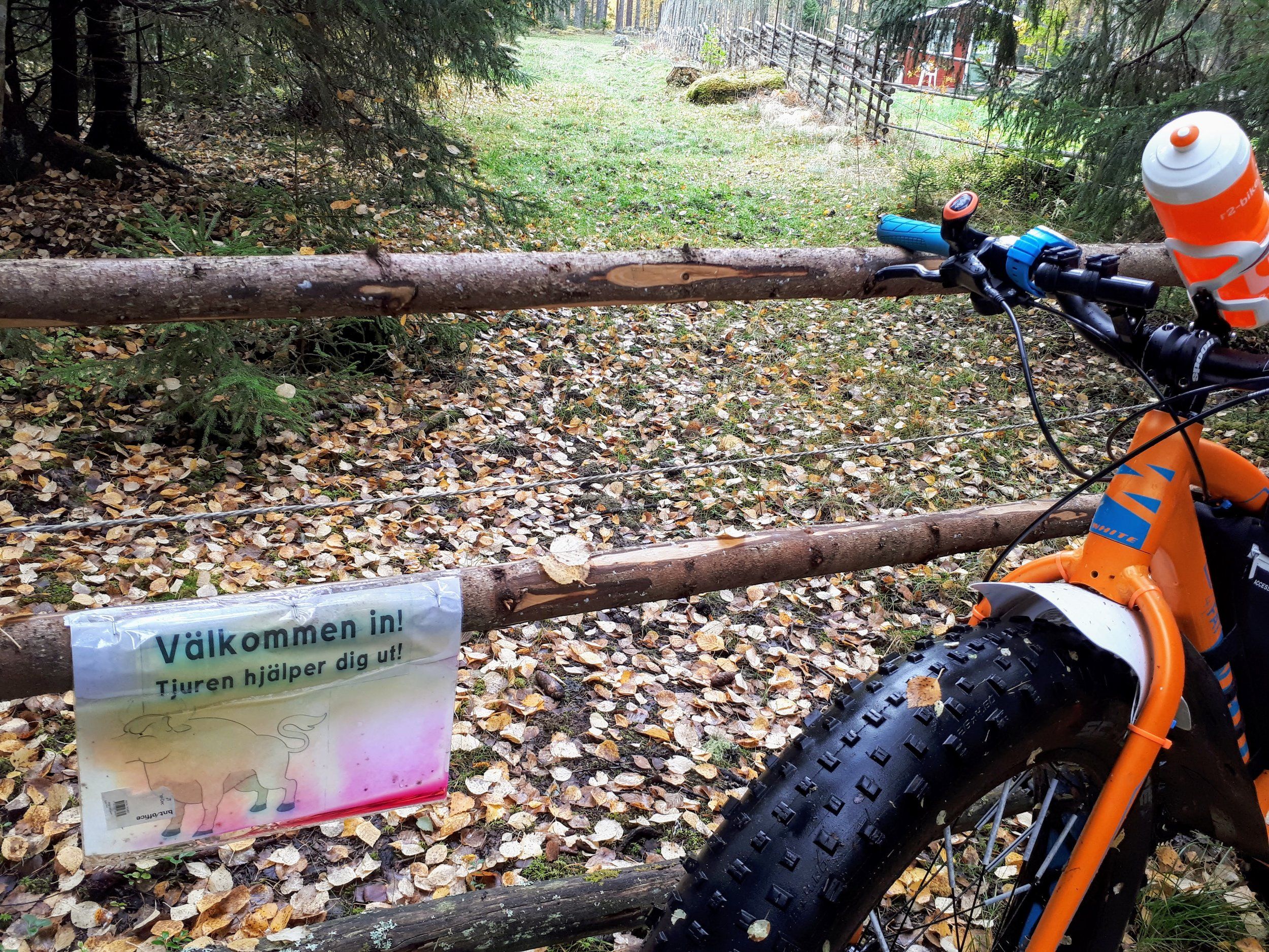 20200929_161335.jpg