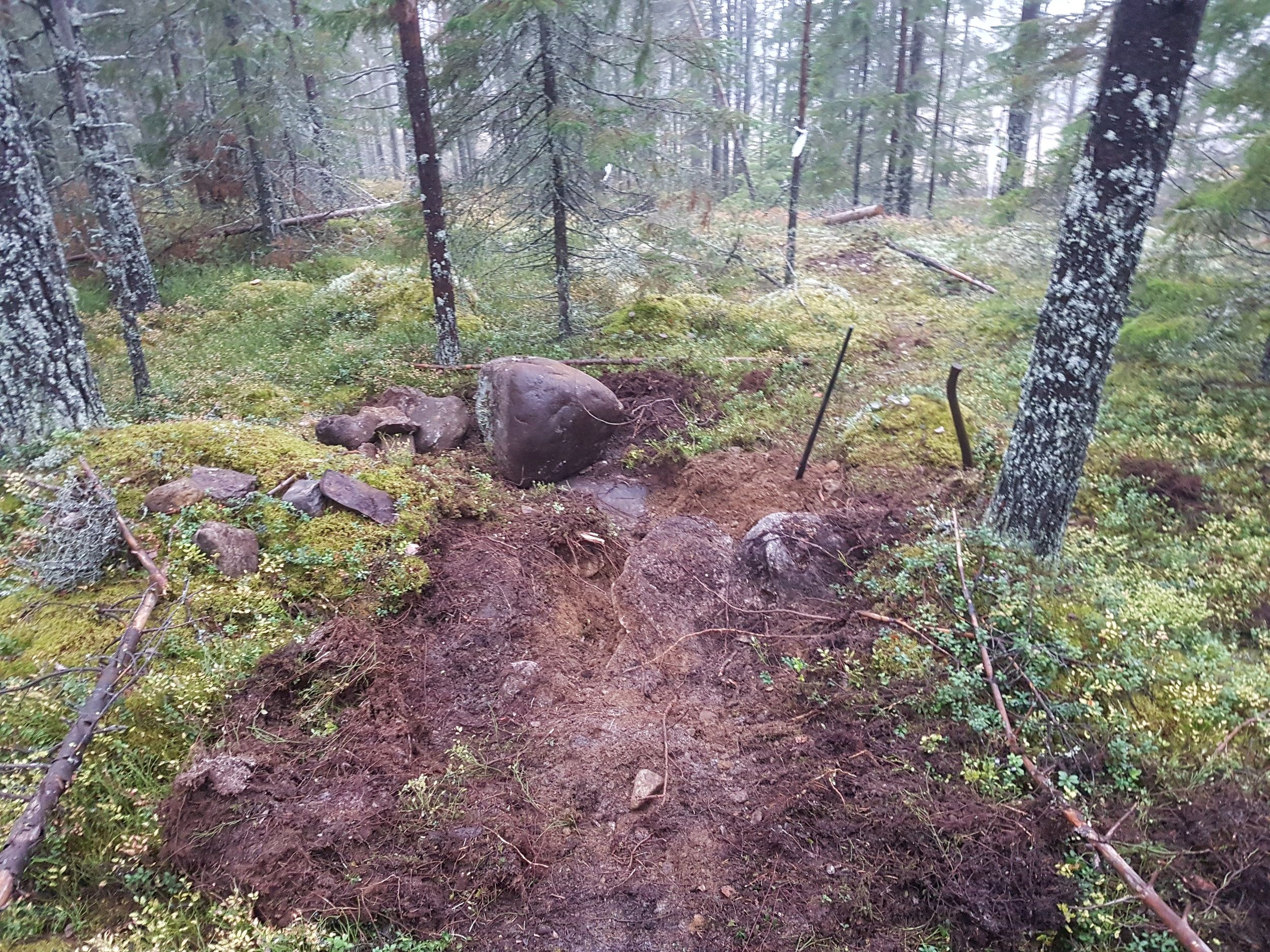 20200929_175836.jpg