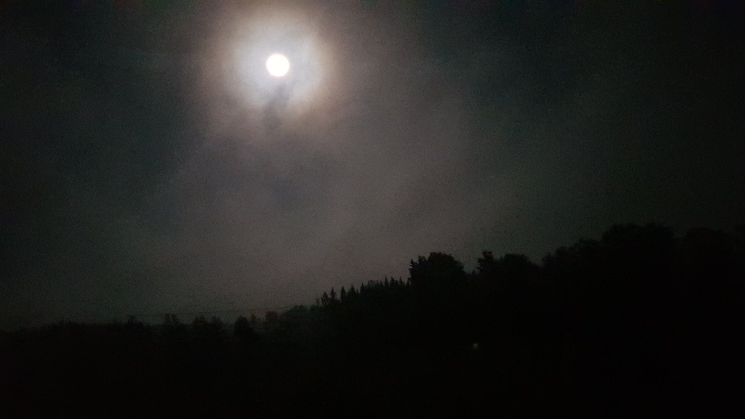 20201001_000016.jpg