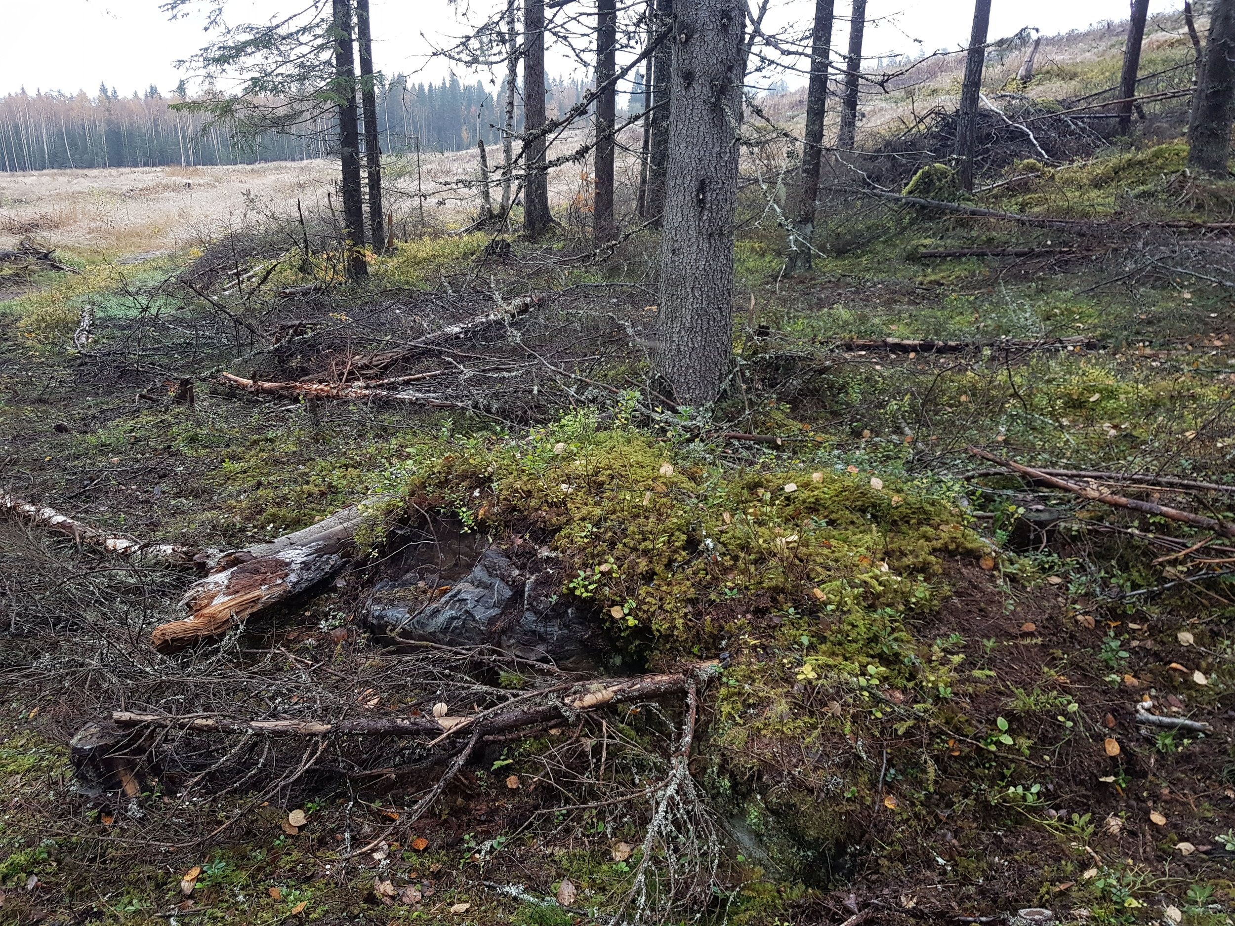 20201001_145603.jpg