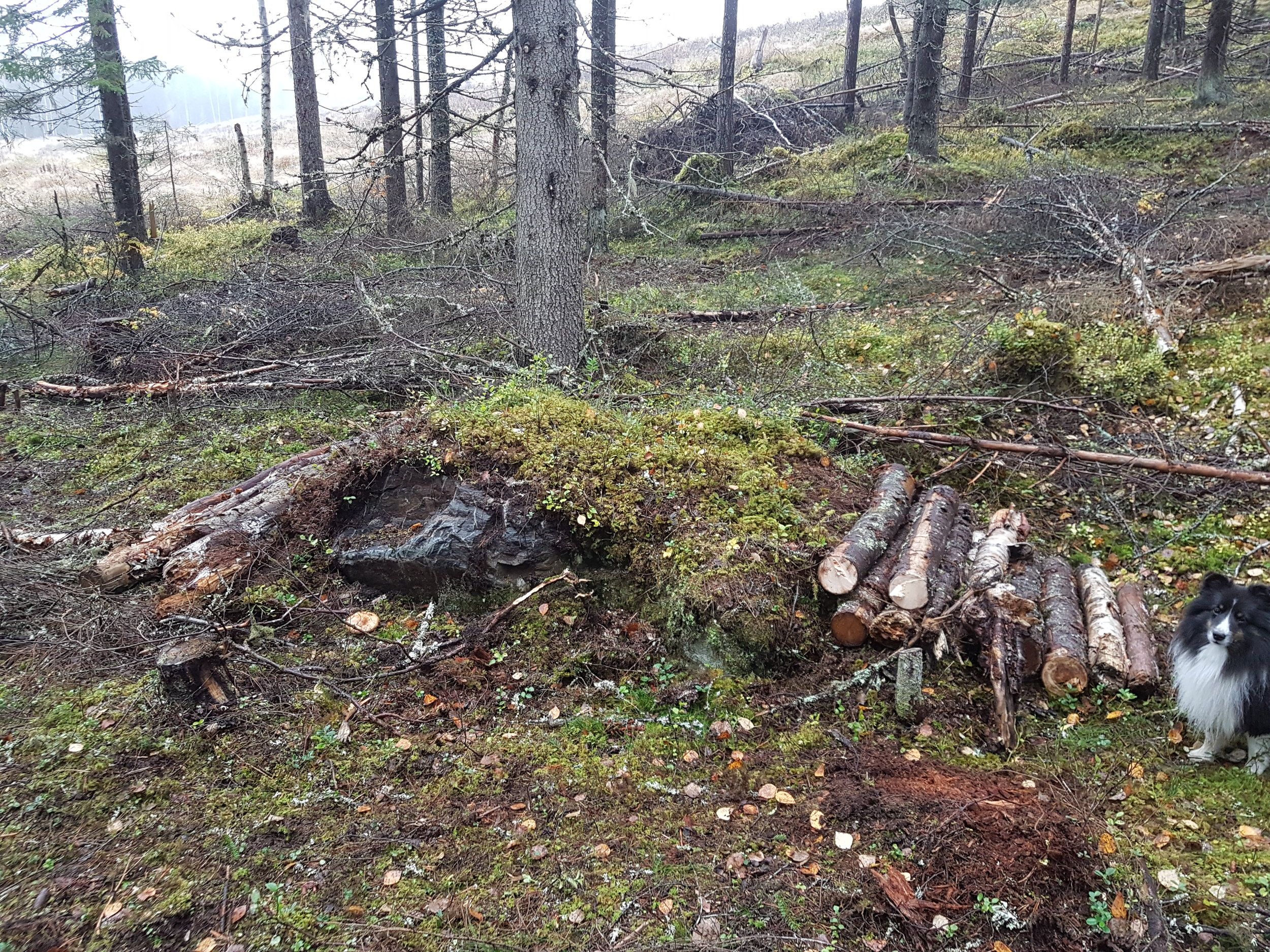 20201001_152155.jpg