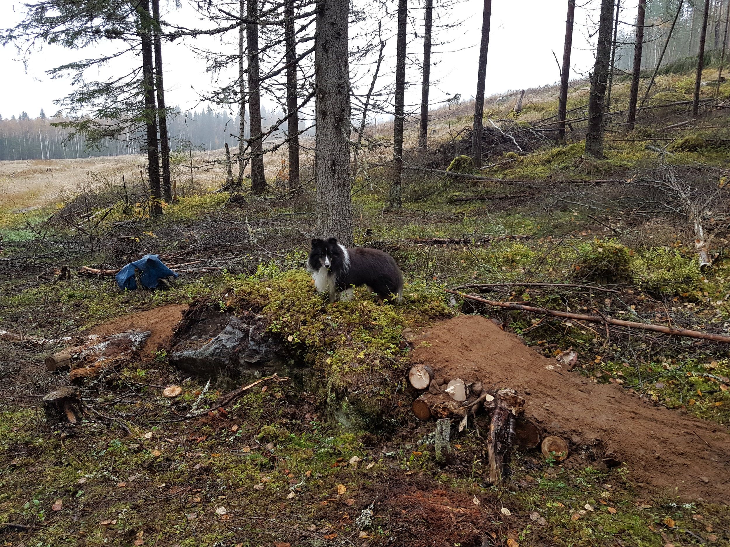 20201001_161915.jpg