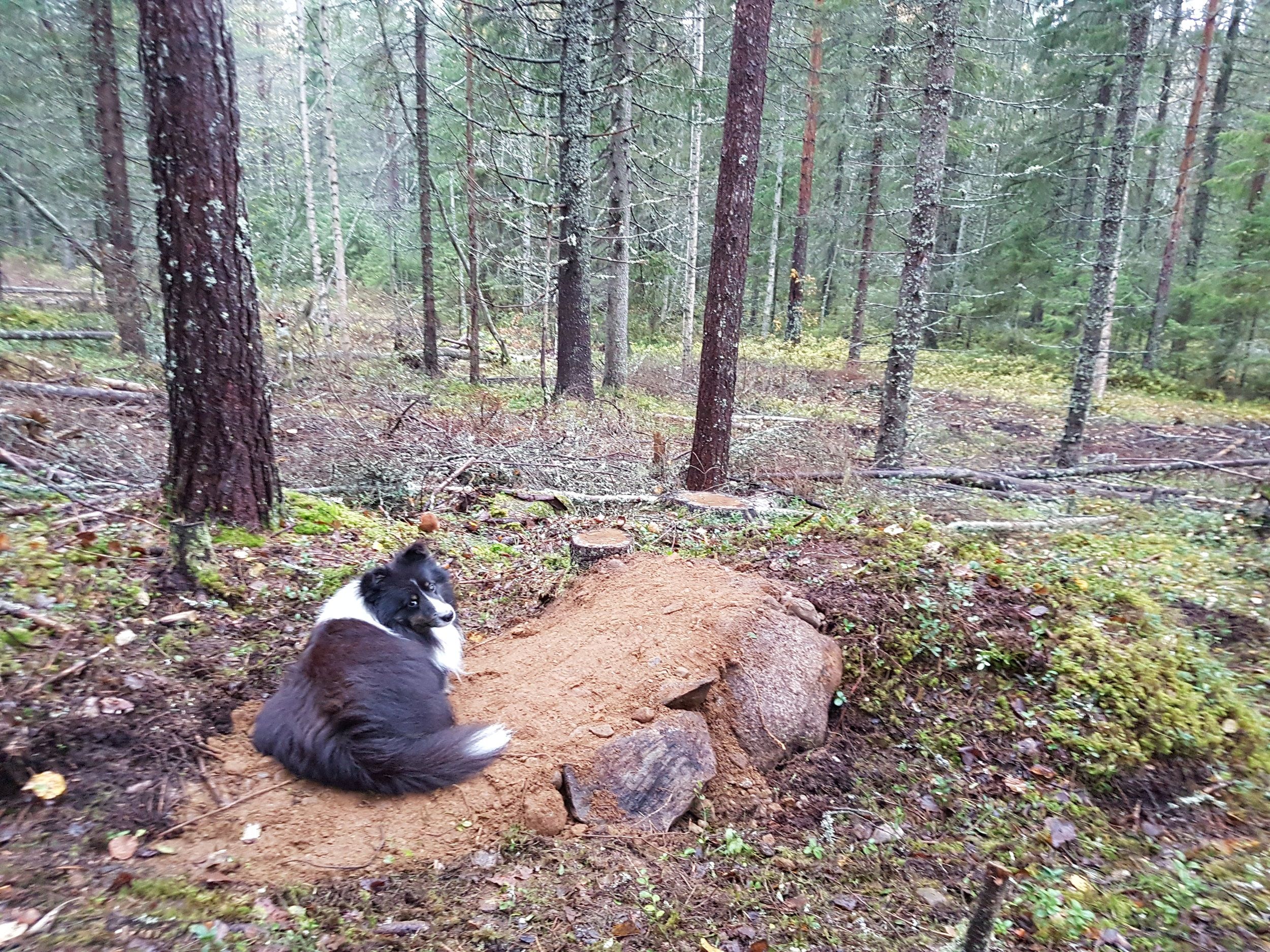 20201001_165906.jpg