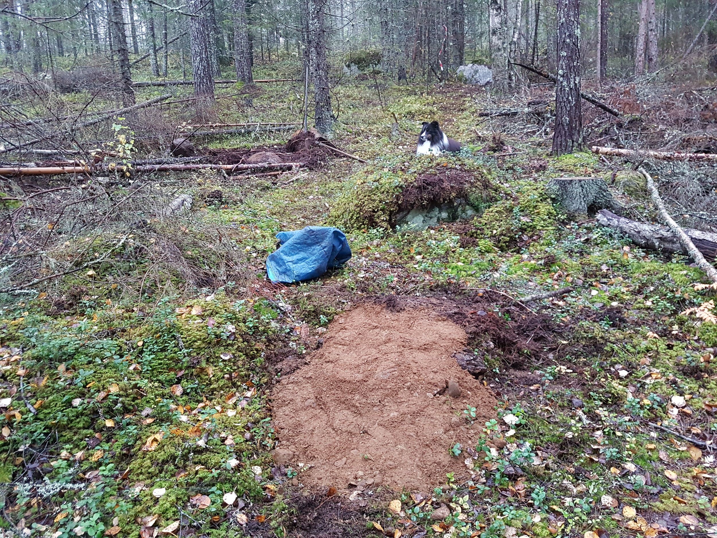 20201001_170647.jpg