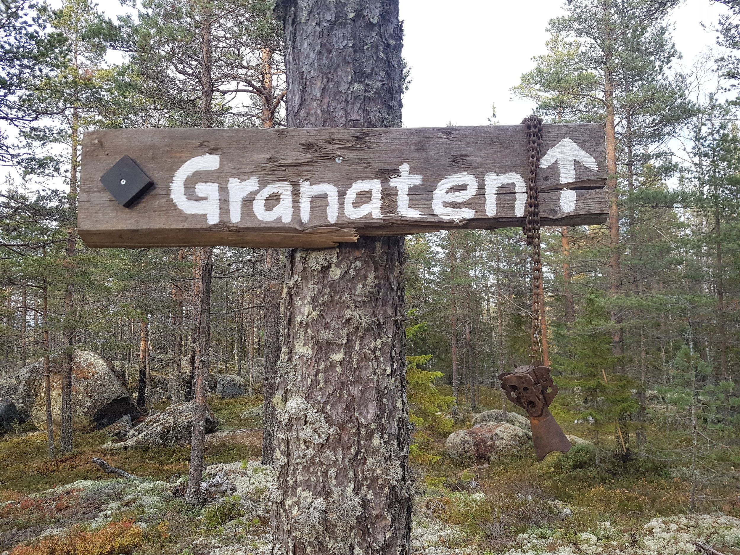 20201003_160856.jpg