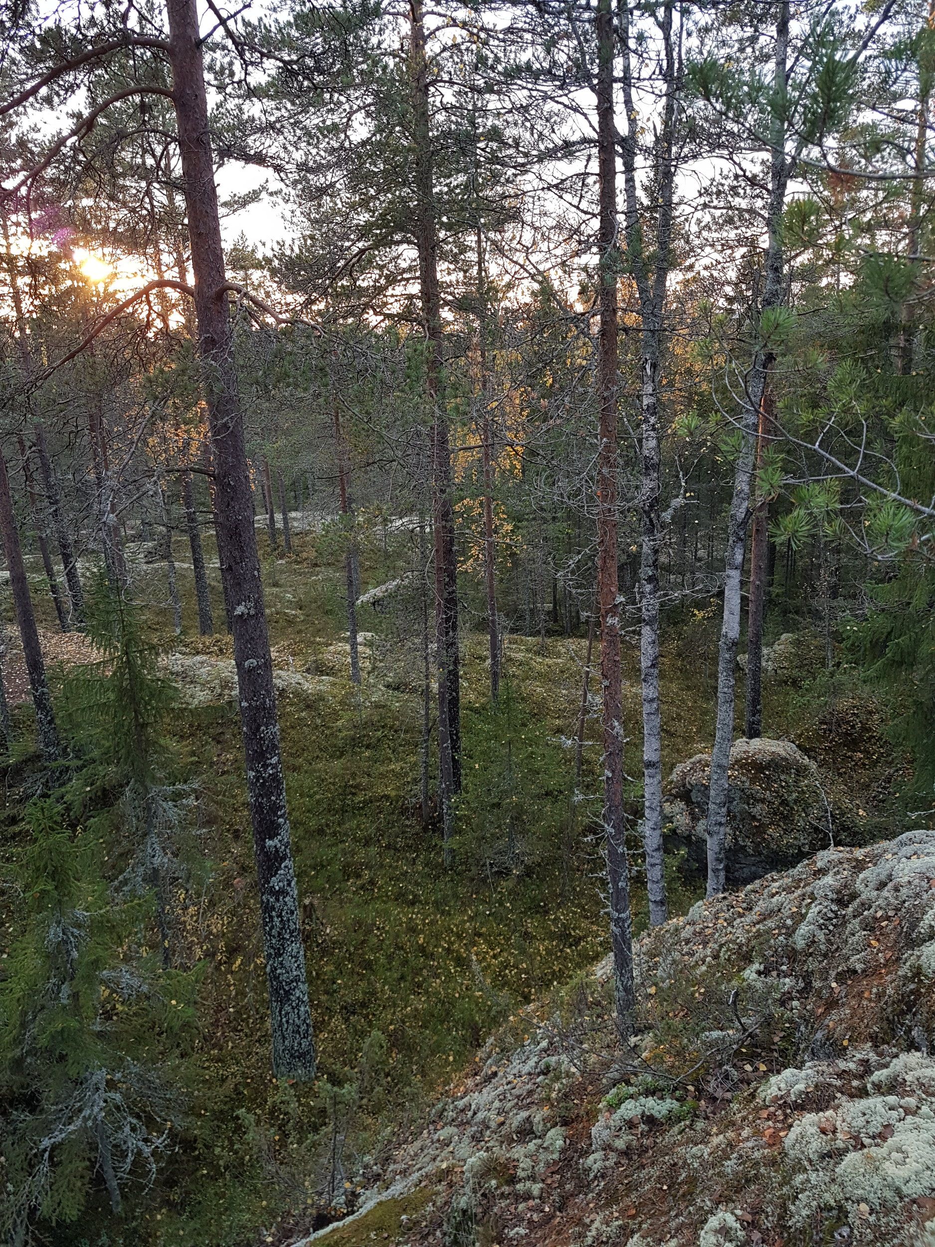 20201003_171601.jpg