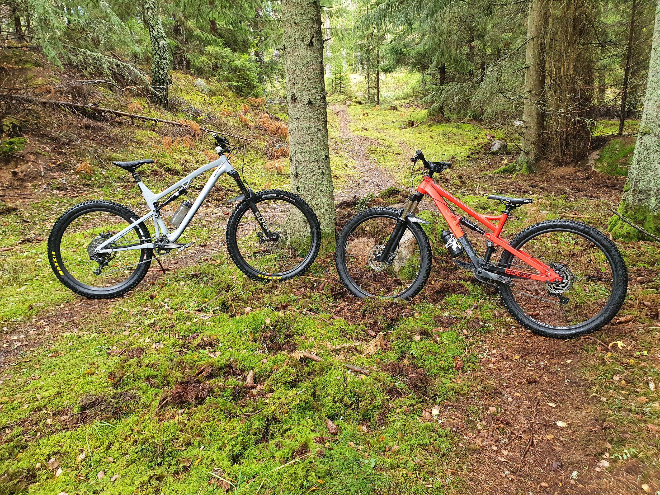 20201007_154343.jpg