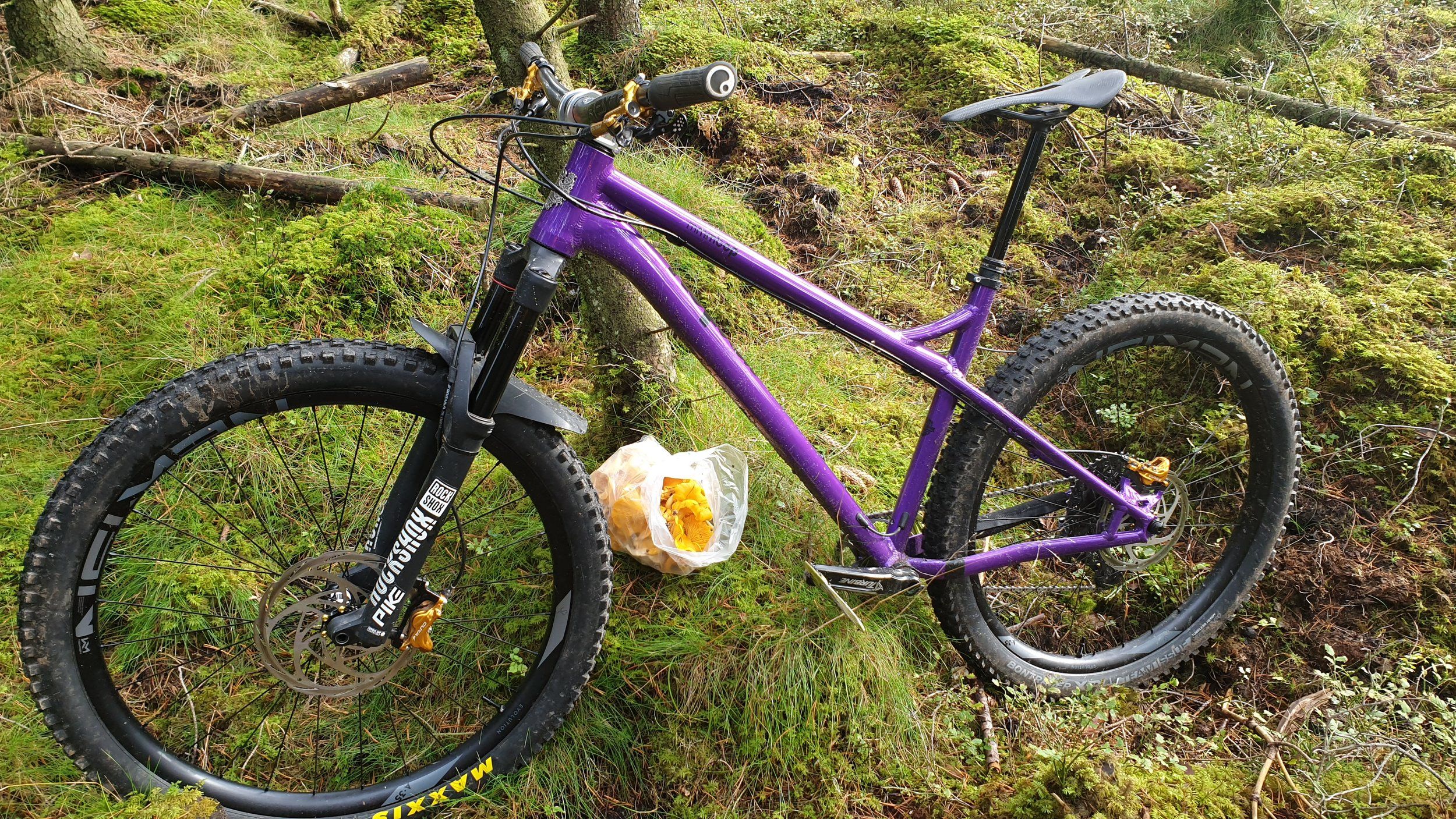 20201008_144757.jpg