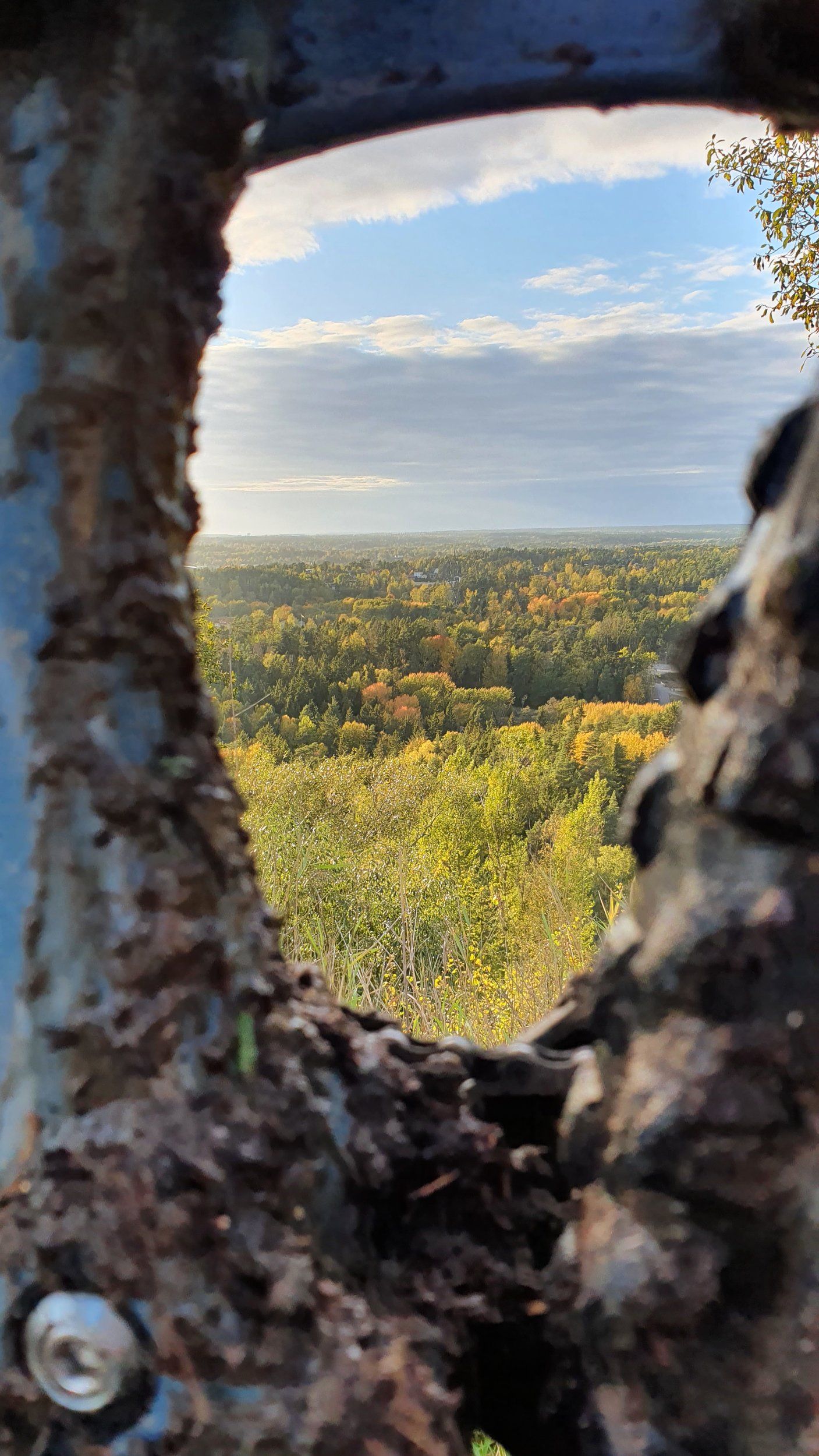 20201008_165131.jpg