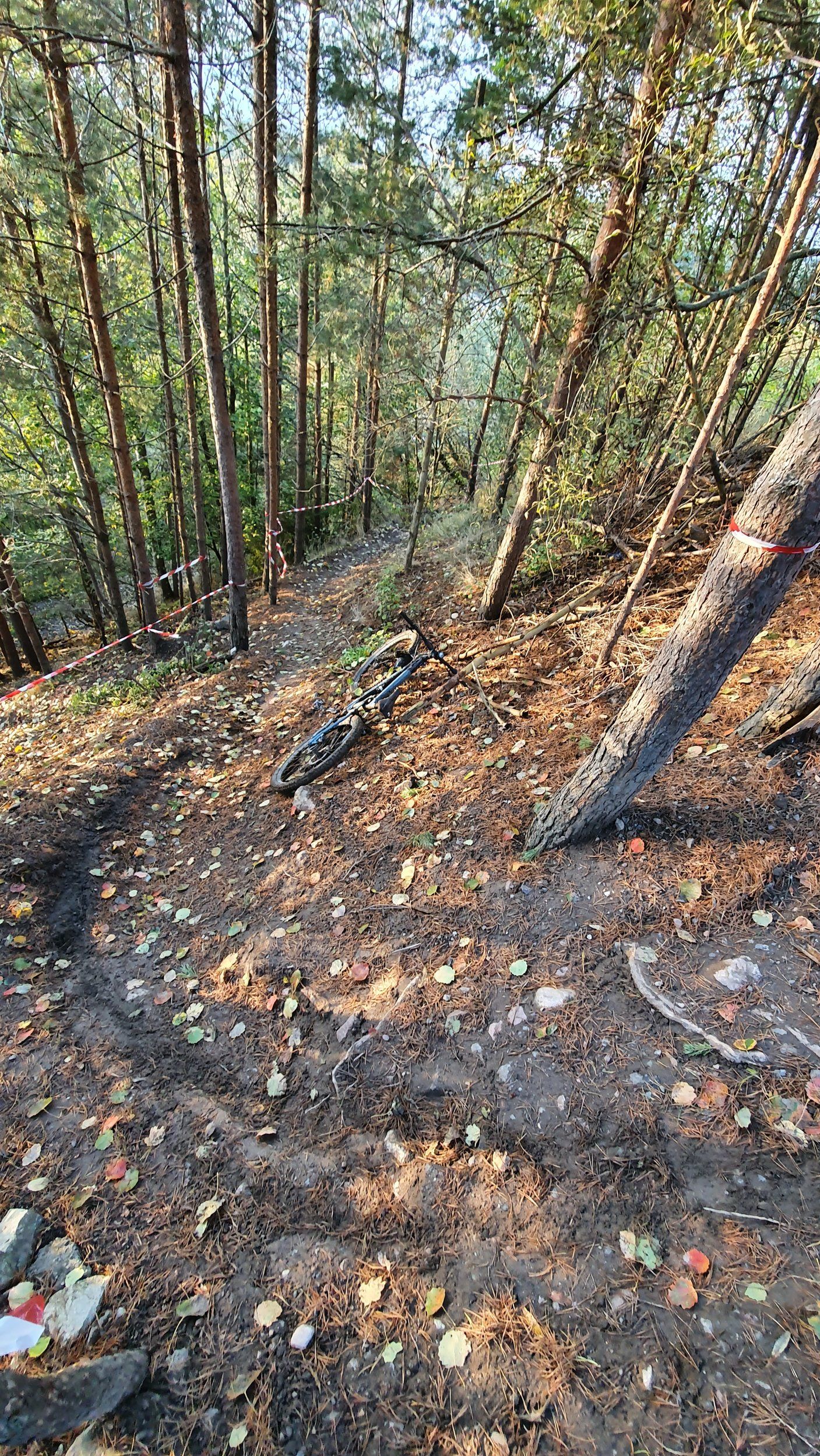 20201008_170308.jpg
