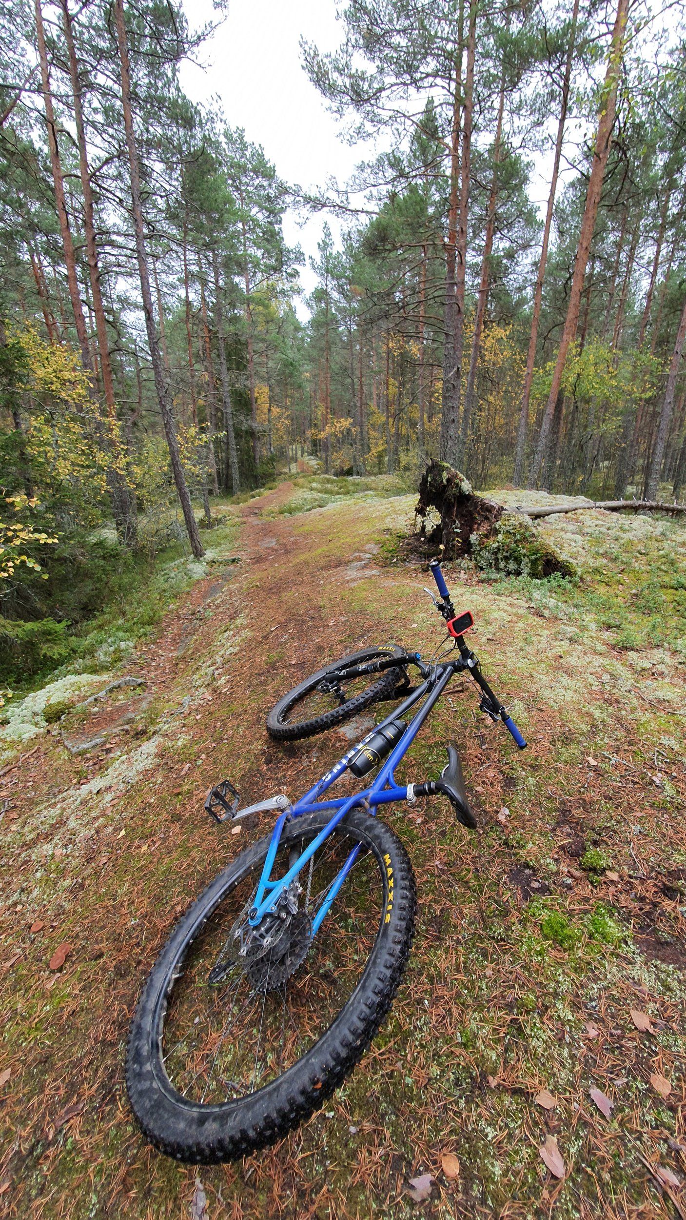 20201010_130813.jpg