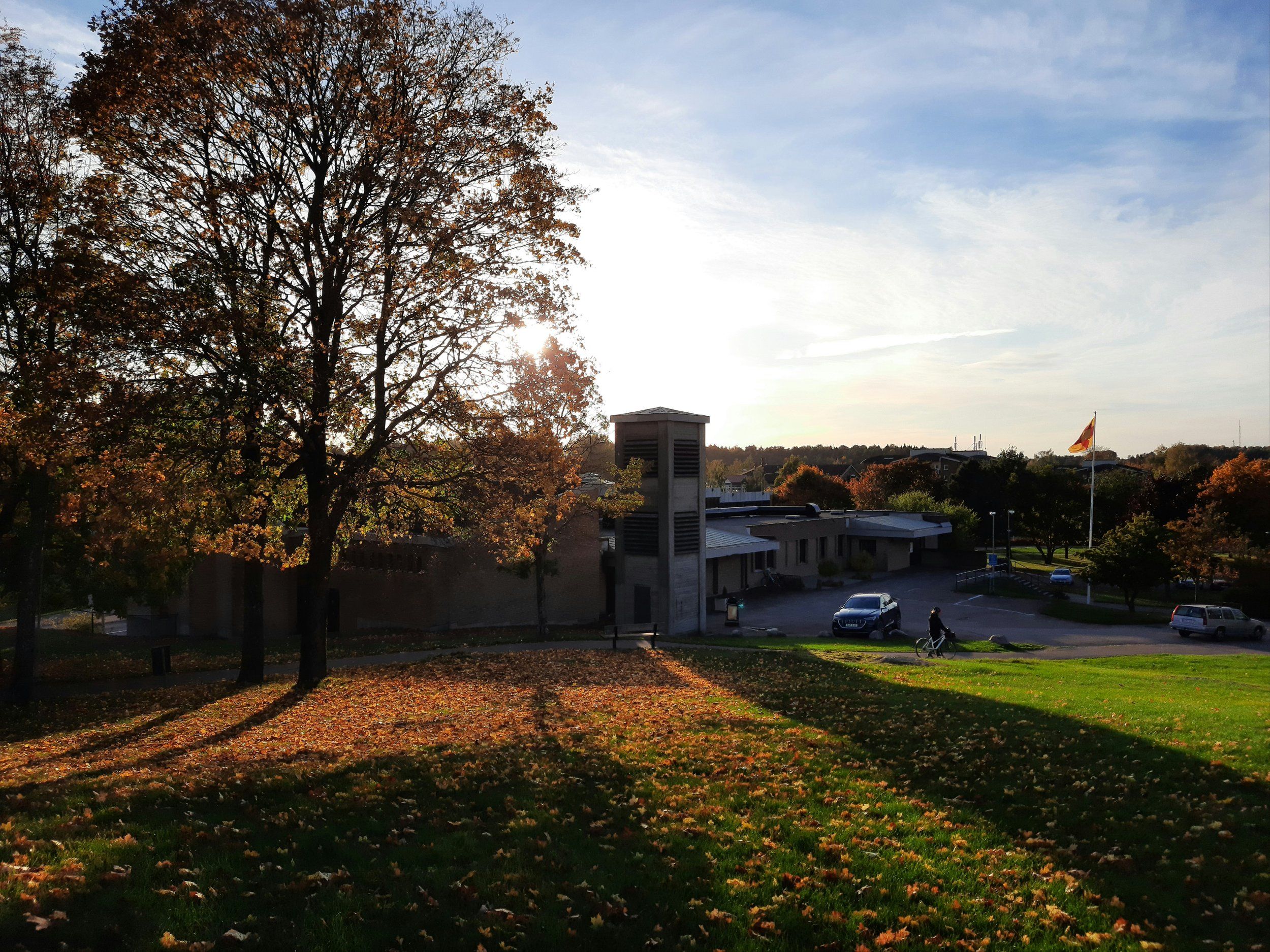 20201010_181717.jpg