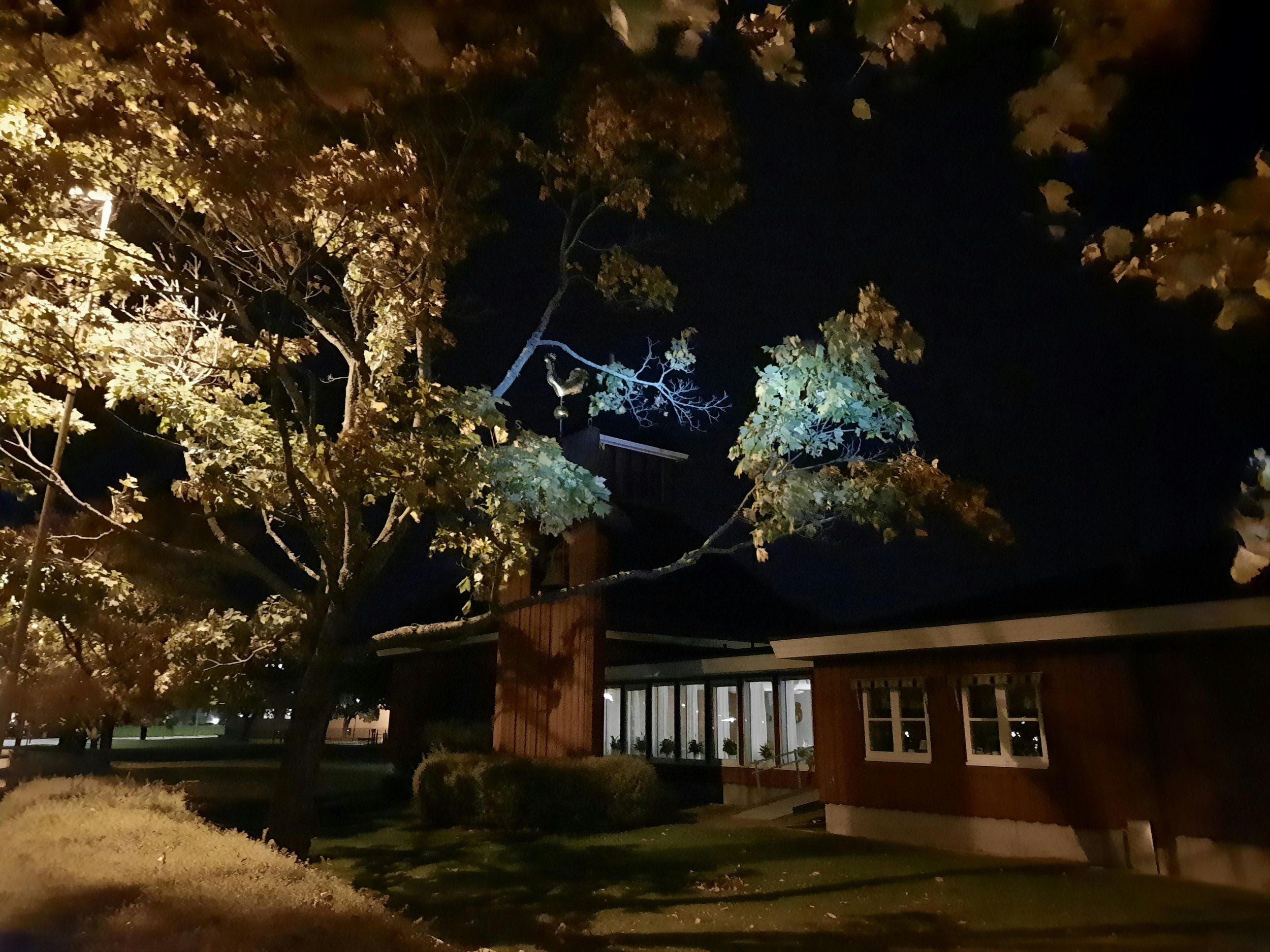 20201010_182607.jpg