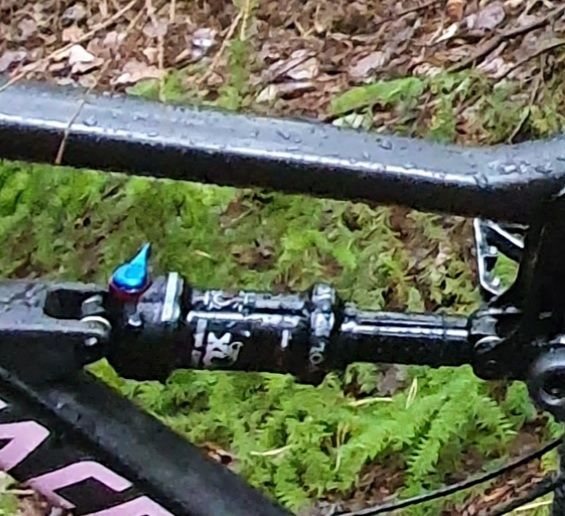 20201011_100109.jpg