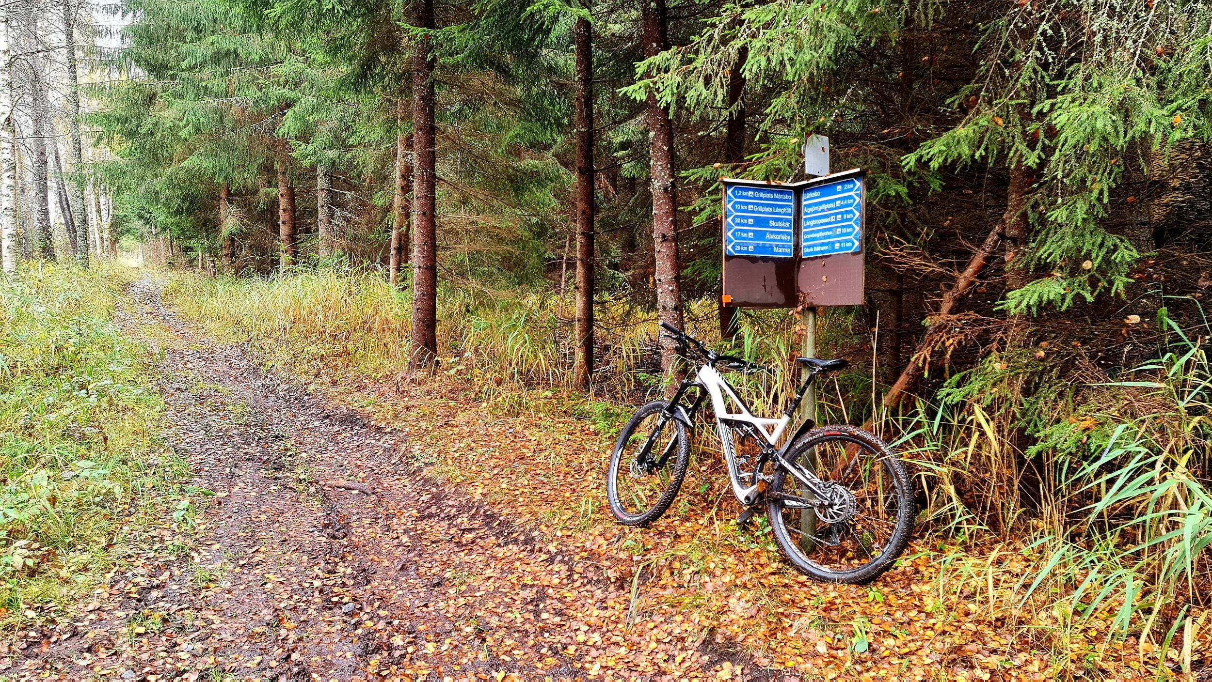 20201011_161227.jpg