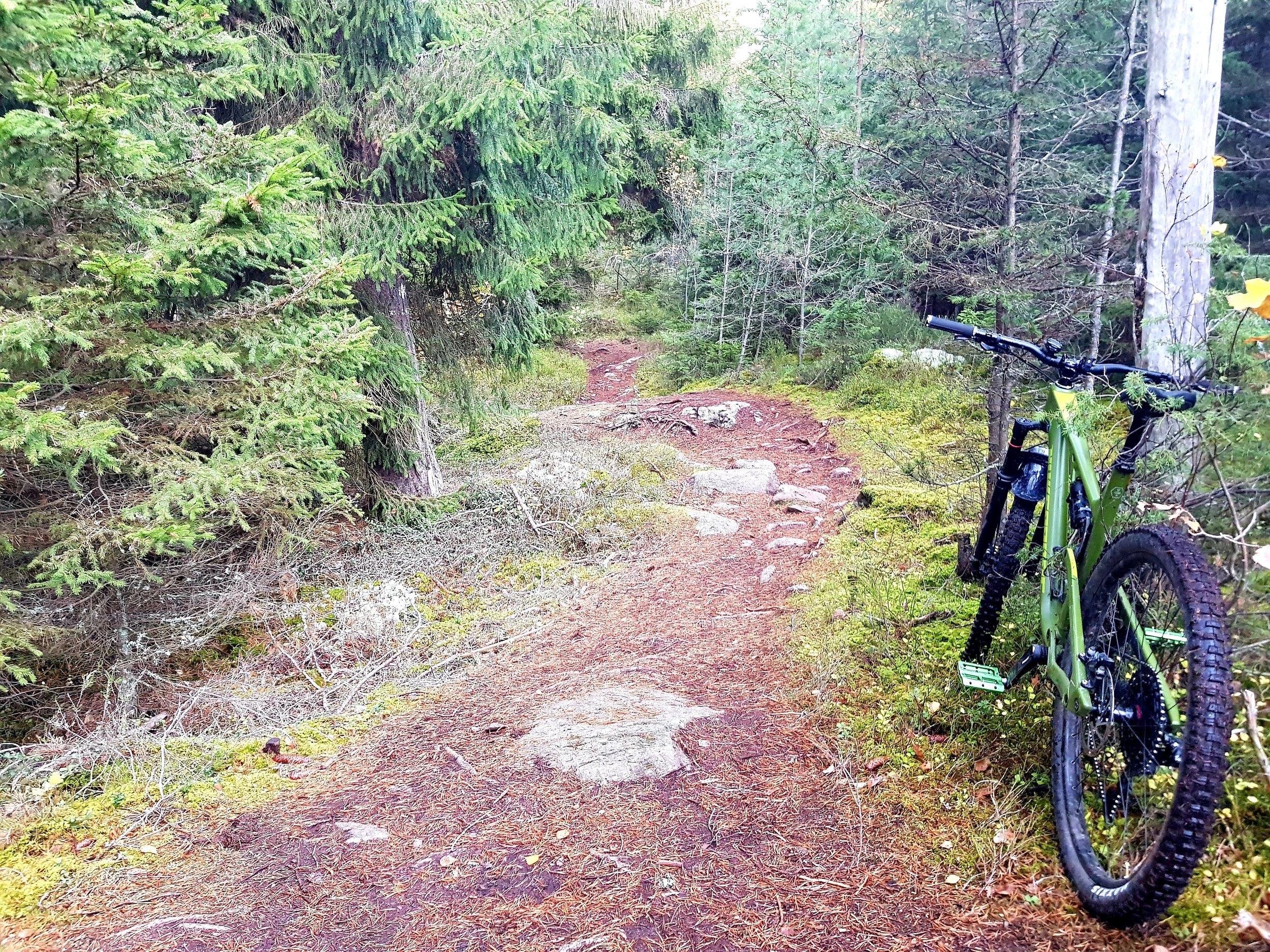 20201018_103330.jpg