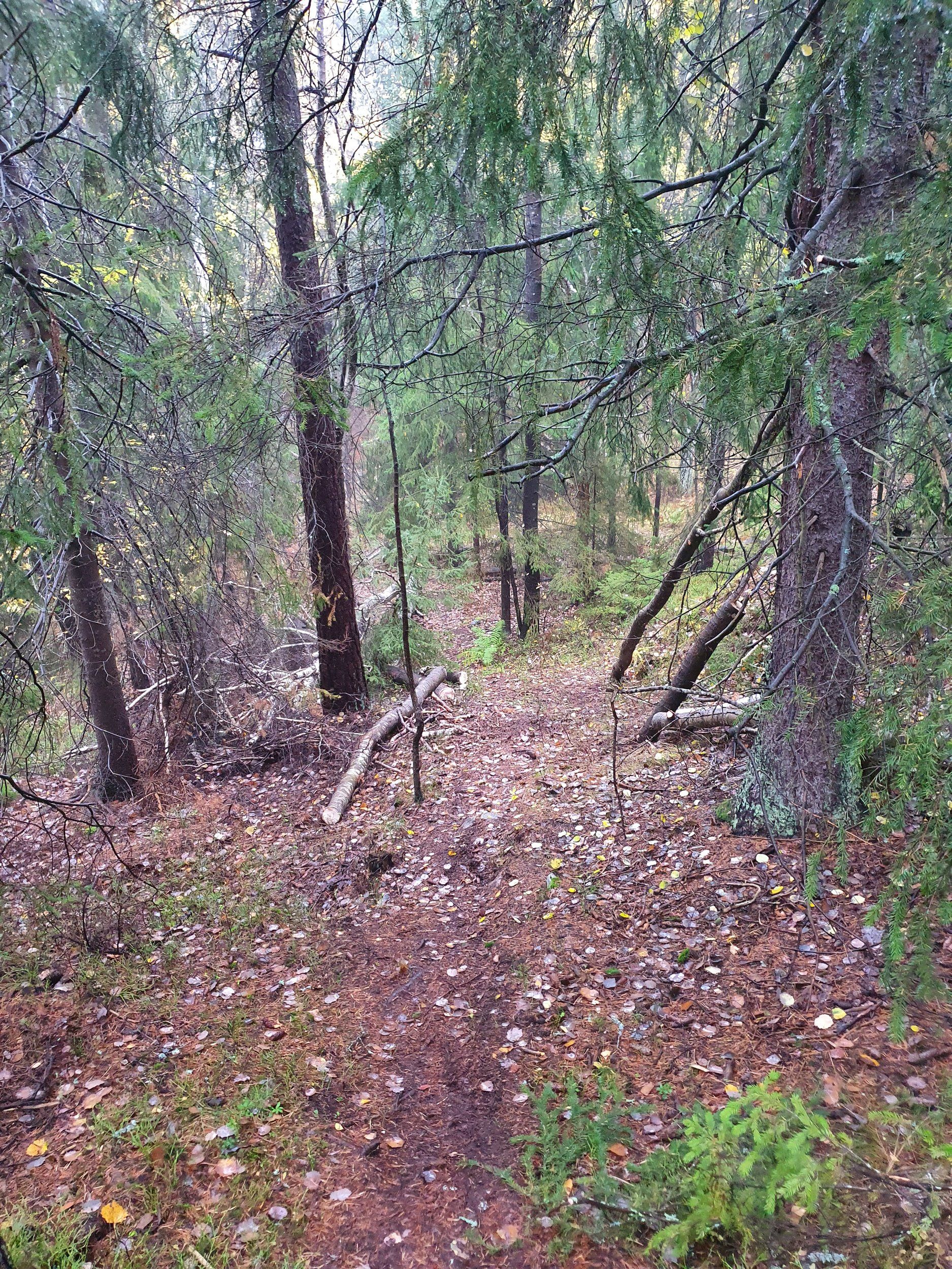 20201022_102338.jpg