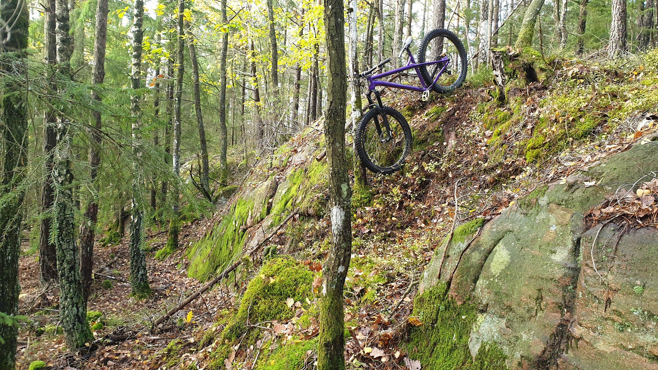 20201023_133320.jpg