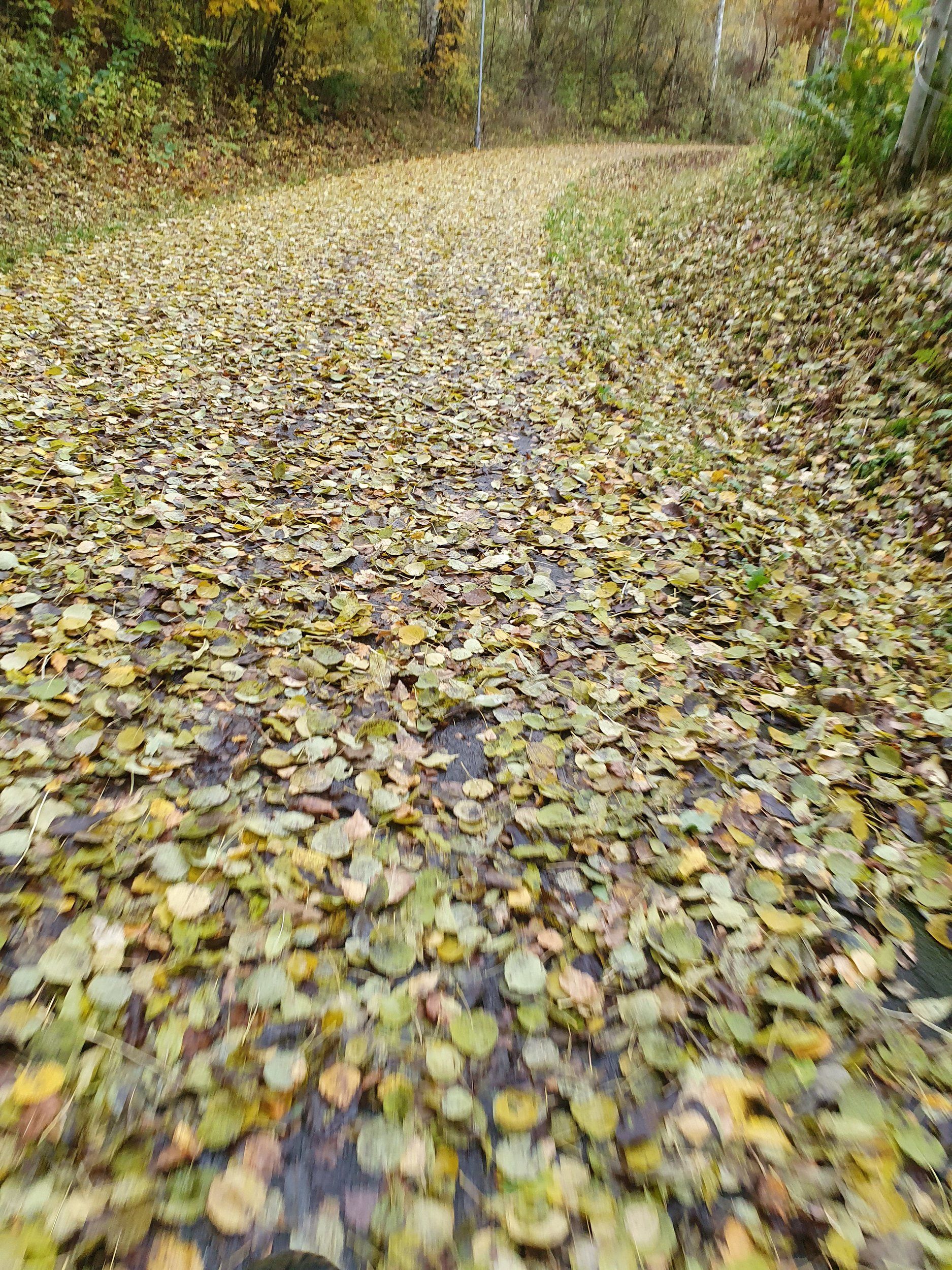 20201026_144844.jpg