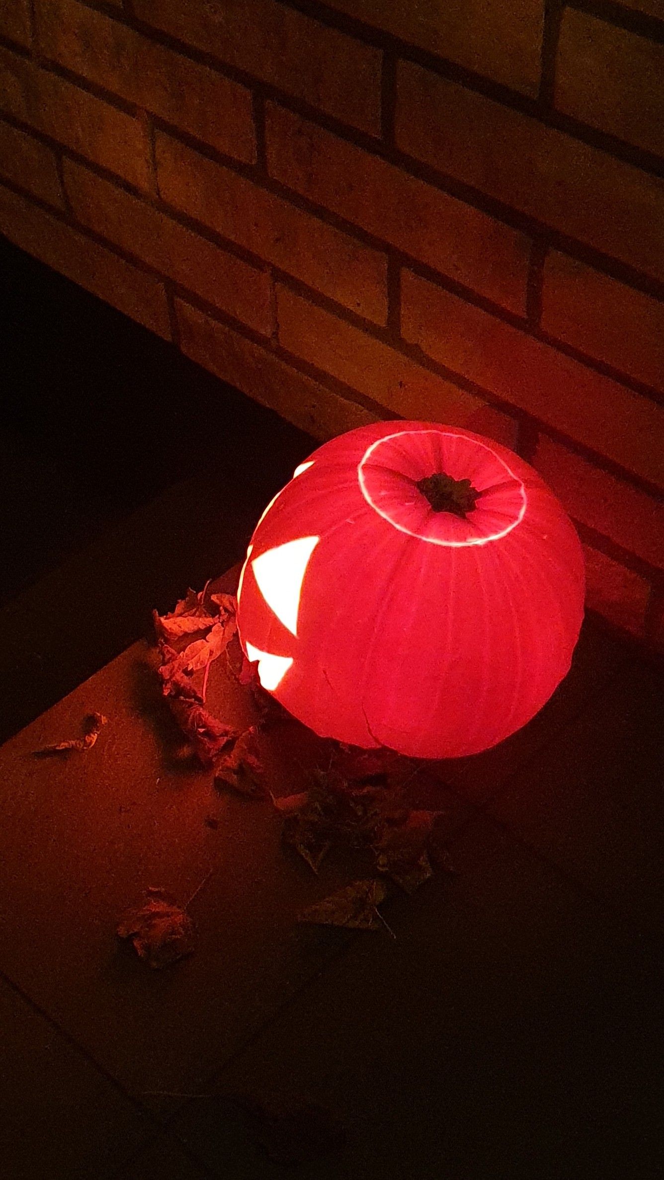 20201027_210555.jpg