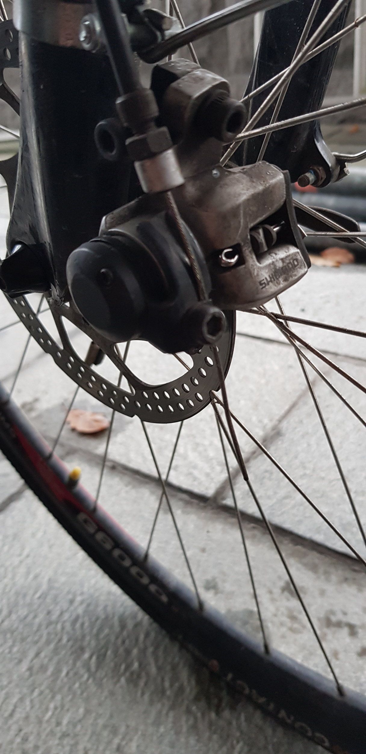 20201101_154039.jpg