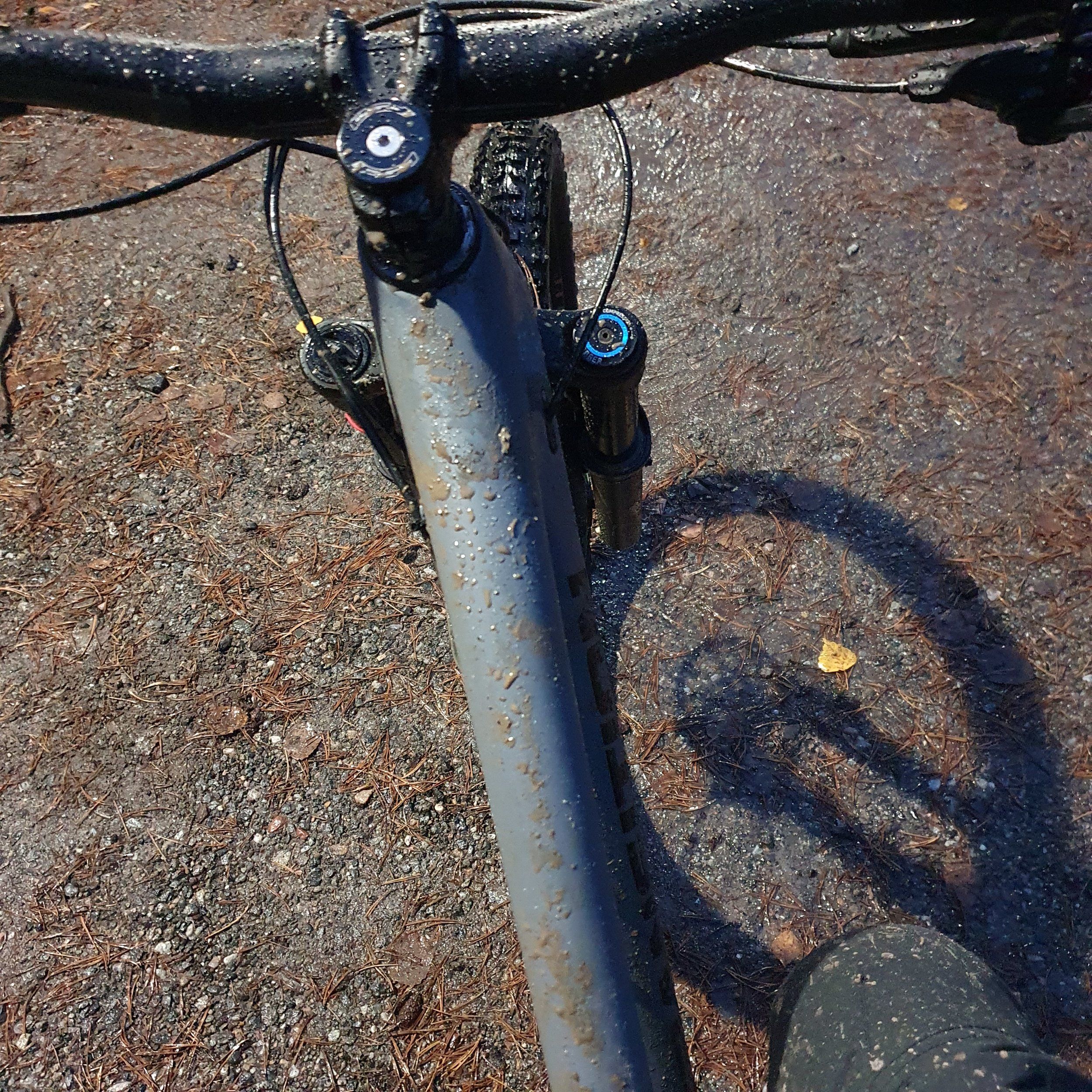 20201101_161530.jpg