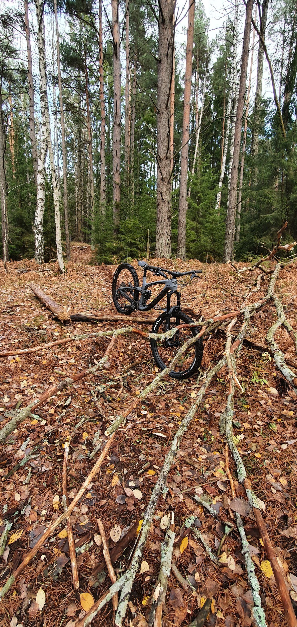 20201104_121906.jpg
