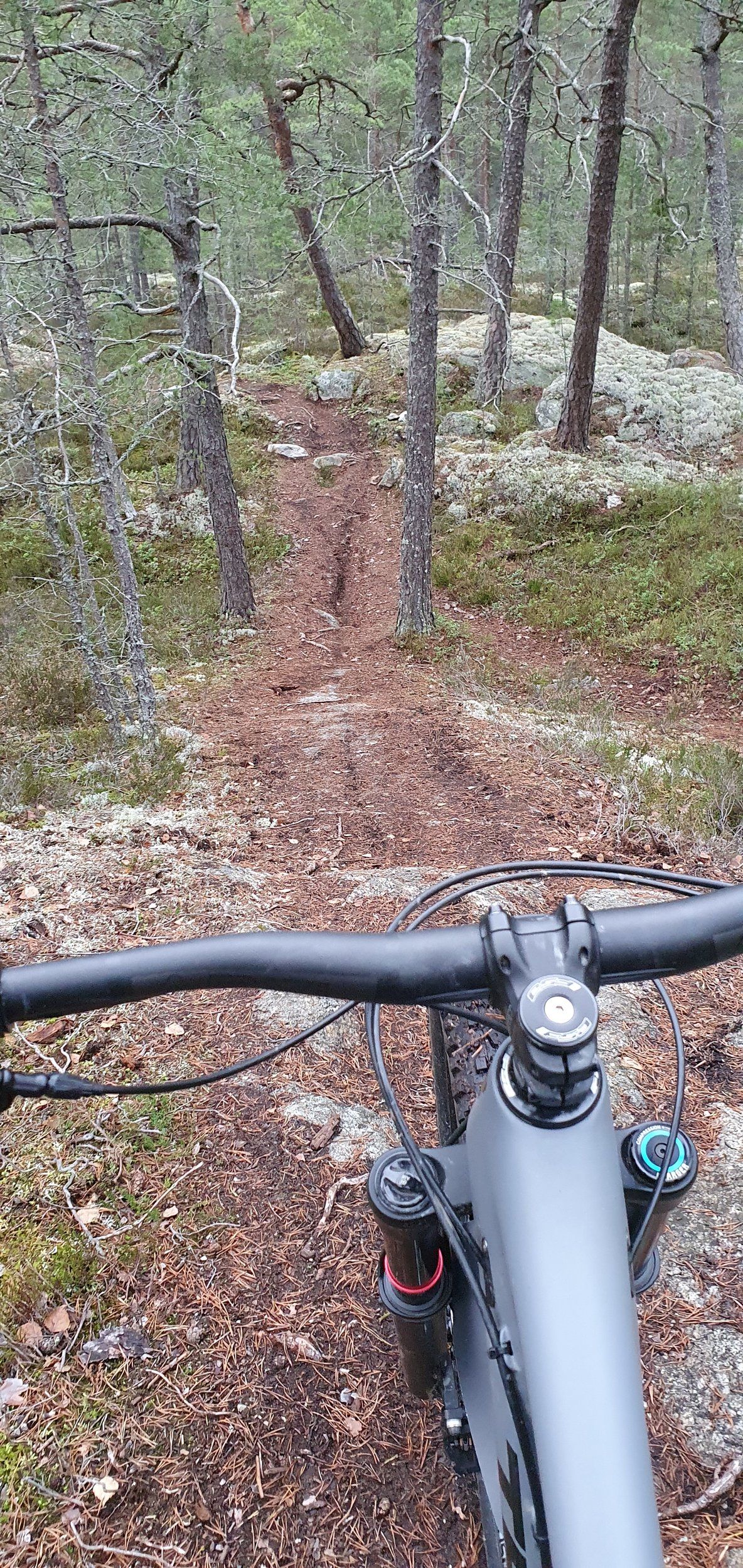 20201107_143641.jpg