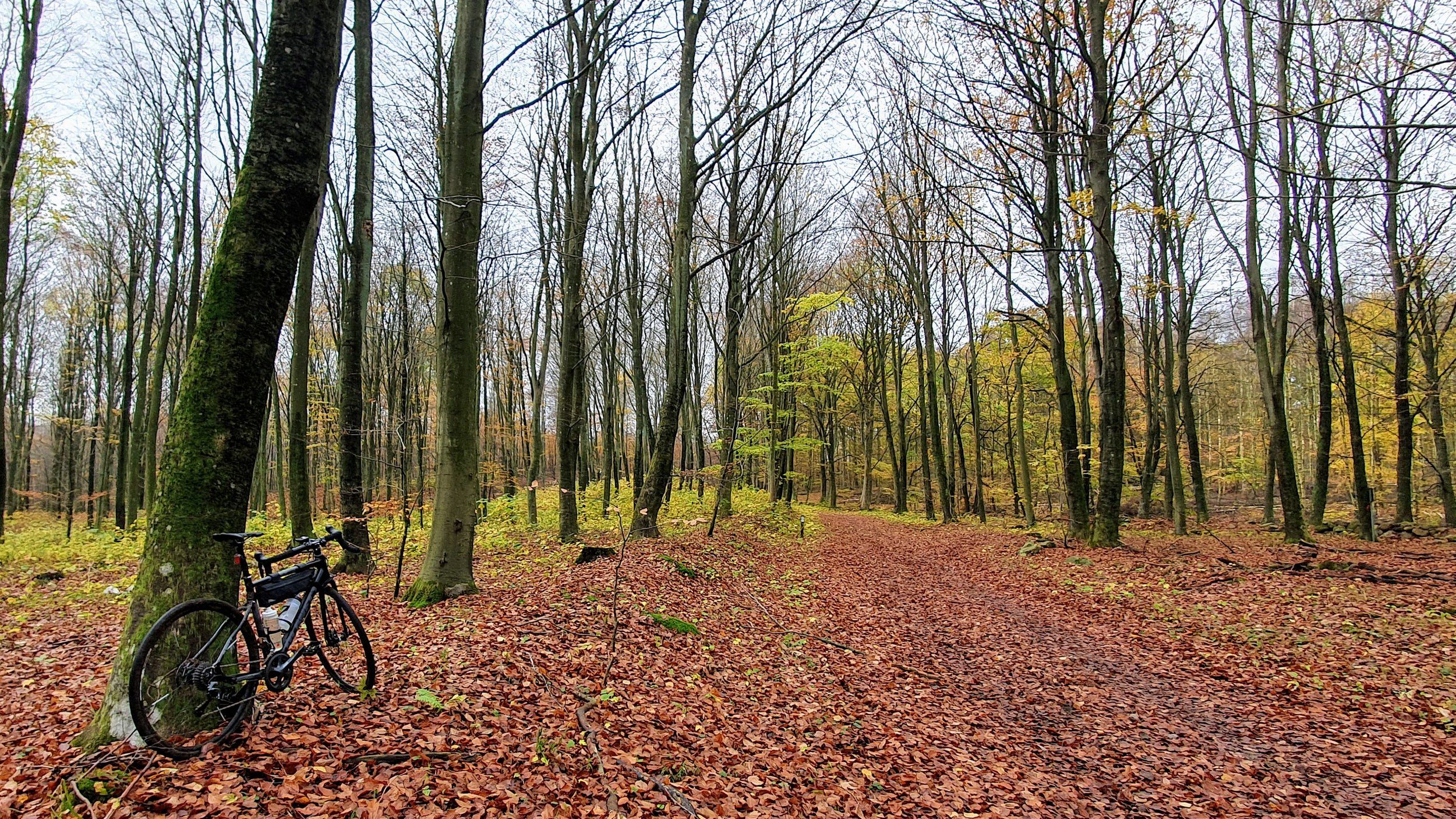 20201108_105945.jpg