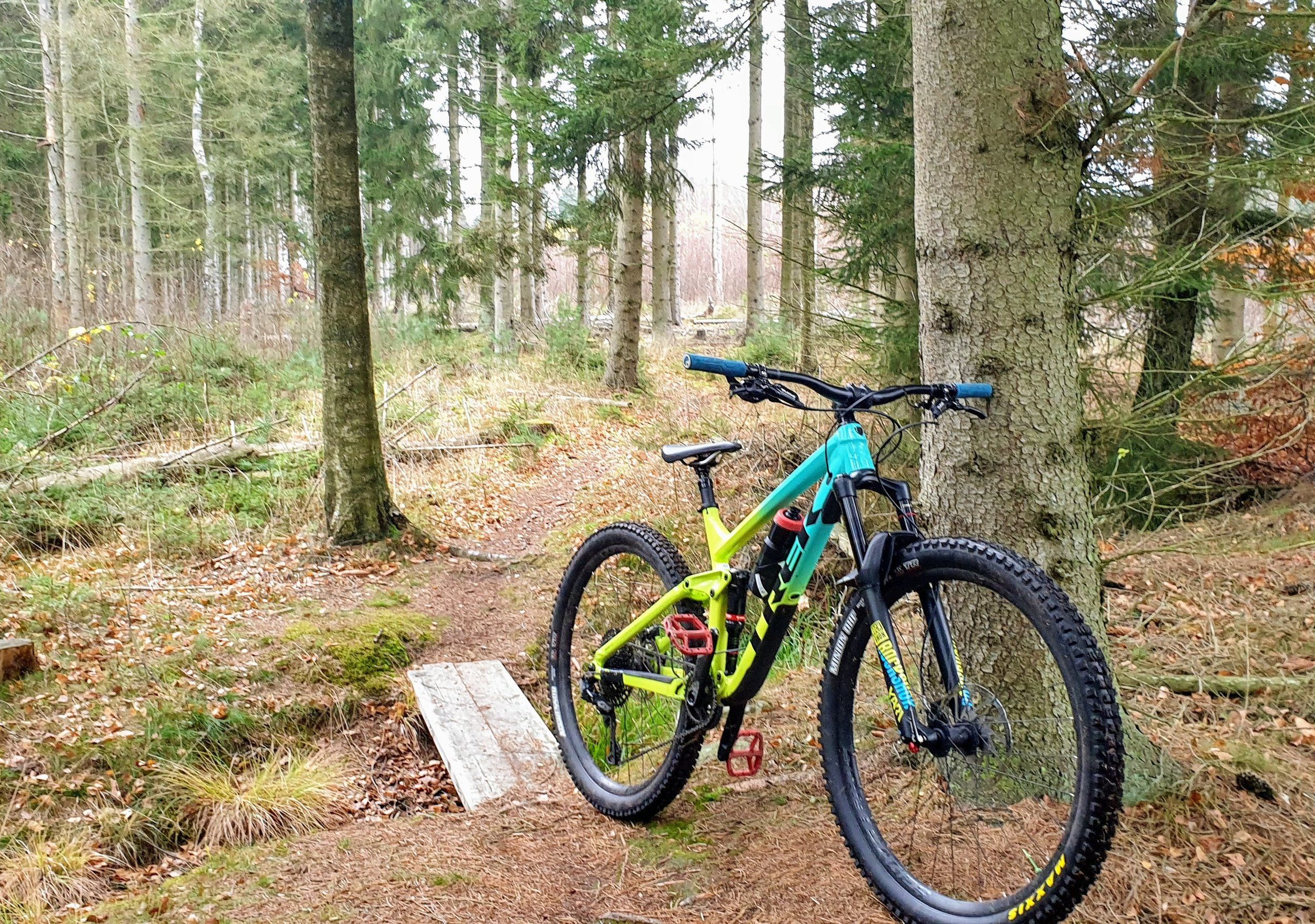 20201108_115404~4.jpg