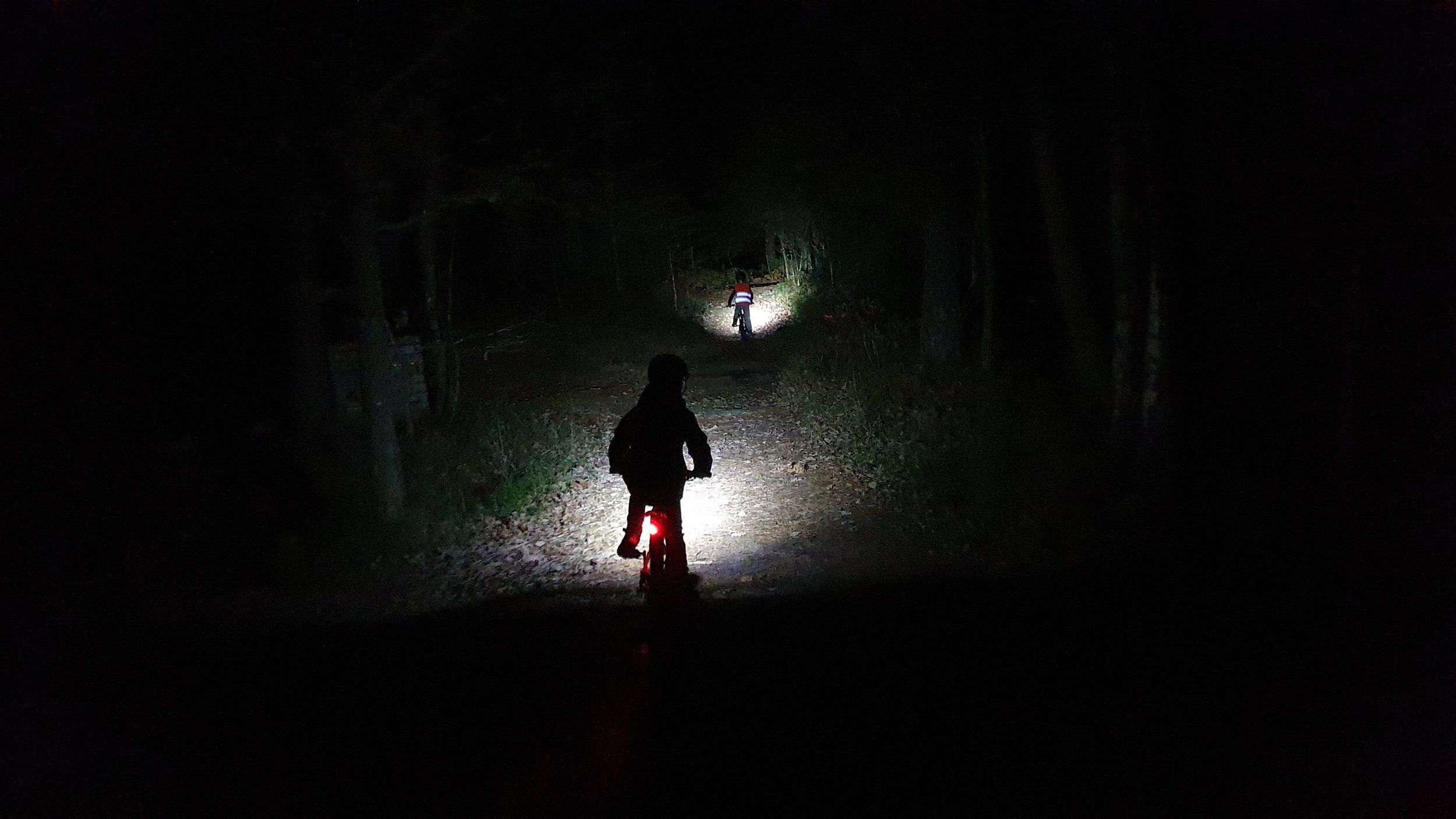 20201109_180122.jpg