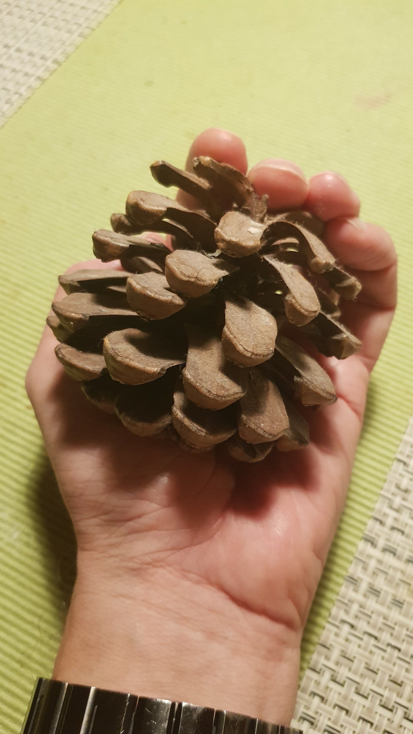 20201114_155259.jpg