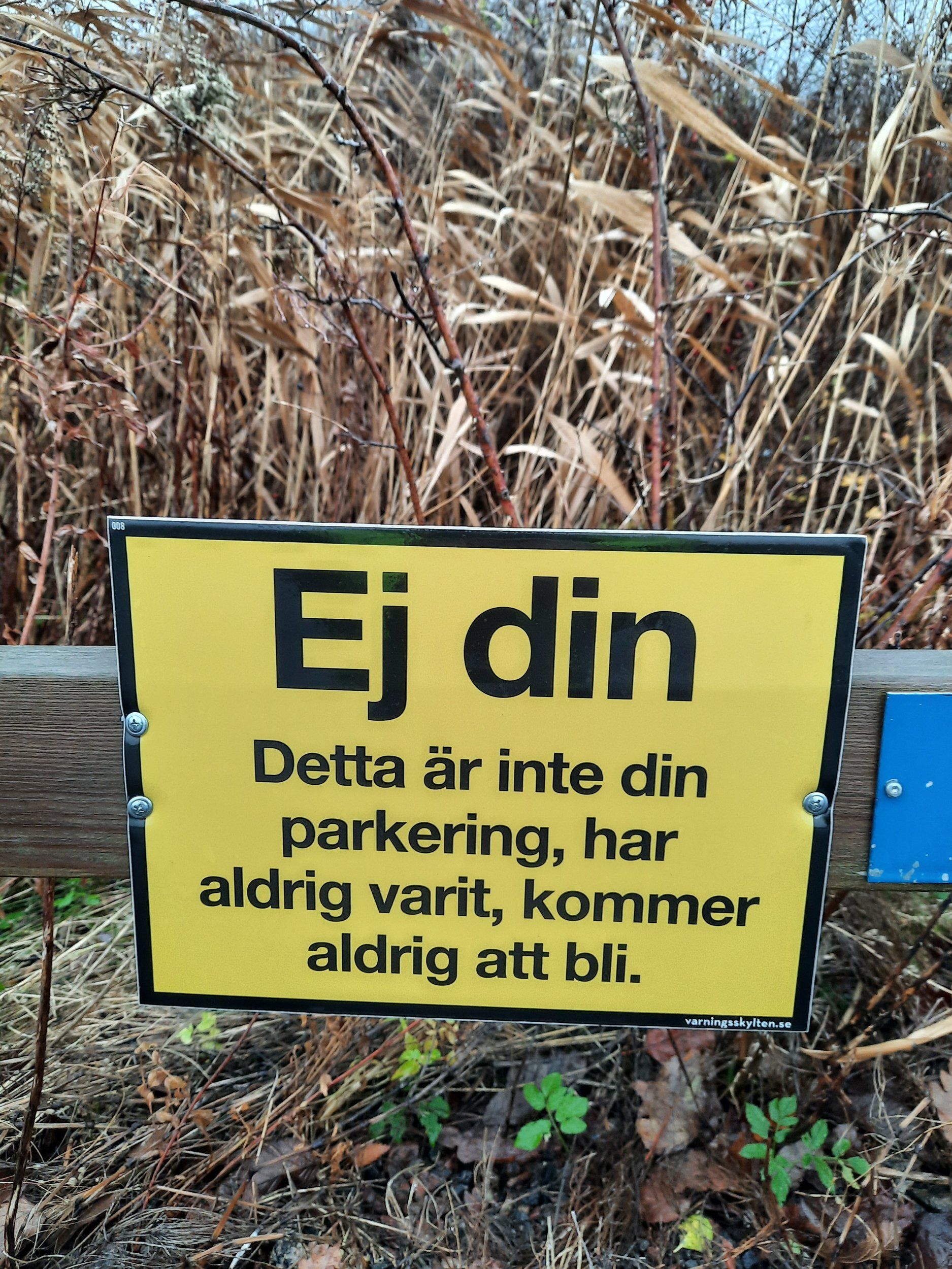 20201118_100636.jpg
