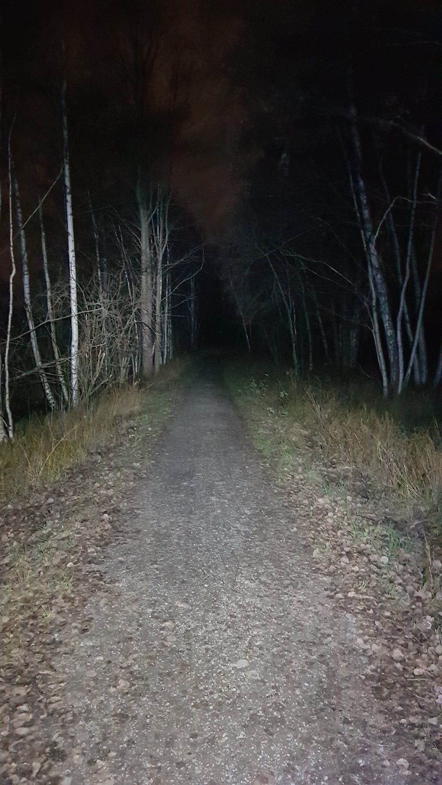 20201118_233455.jpg