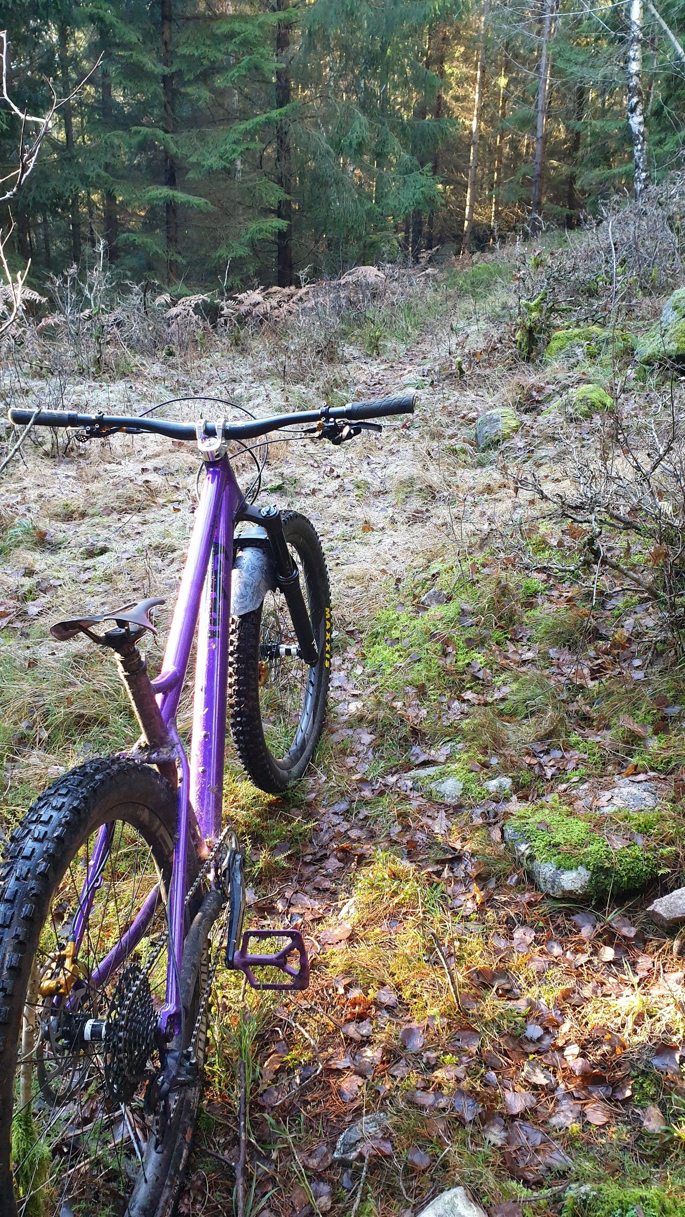20201120_125915.jpg