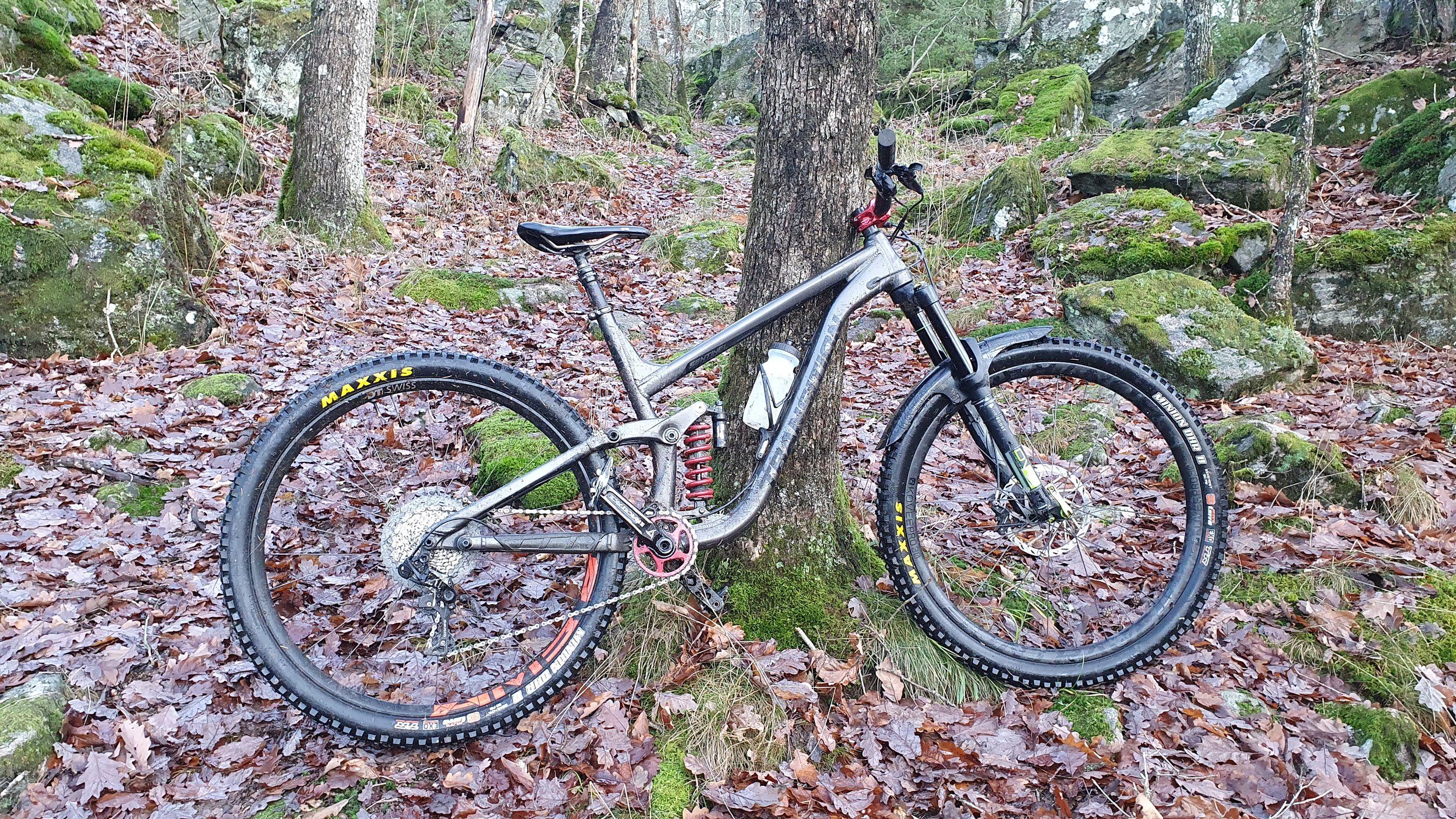 20201122_110750.jpg