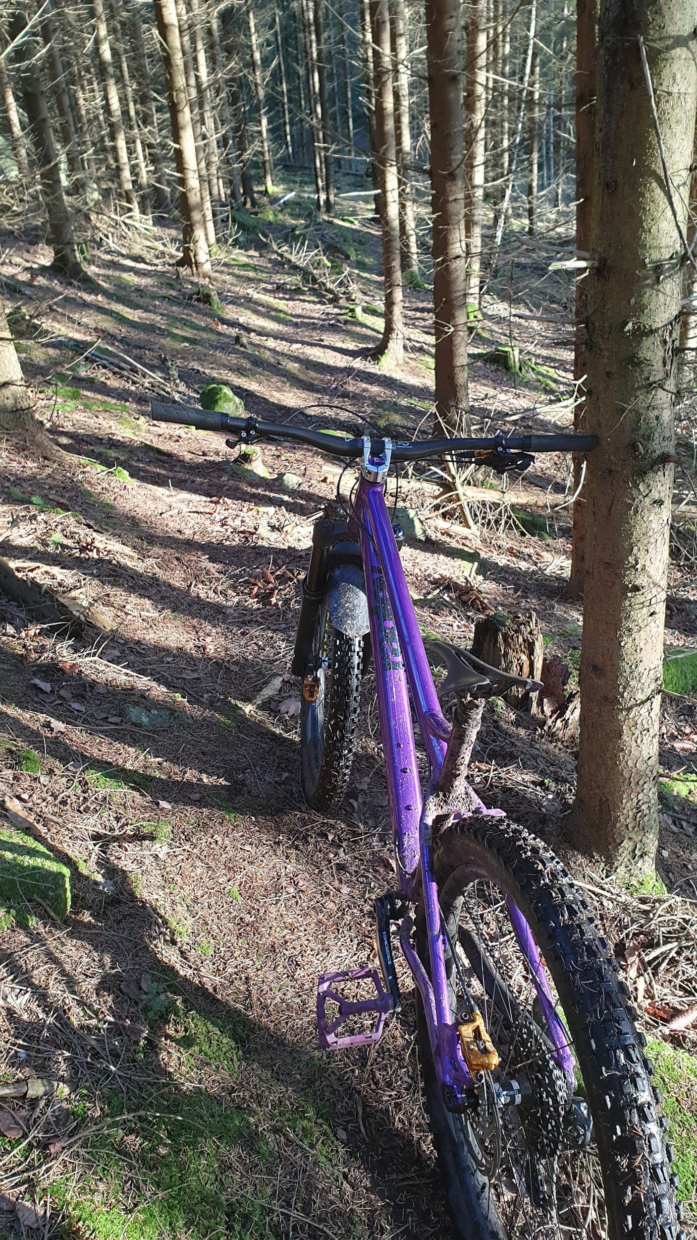 20201123_133120.jpg