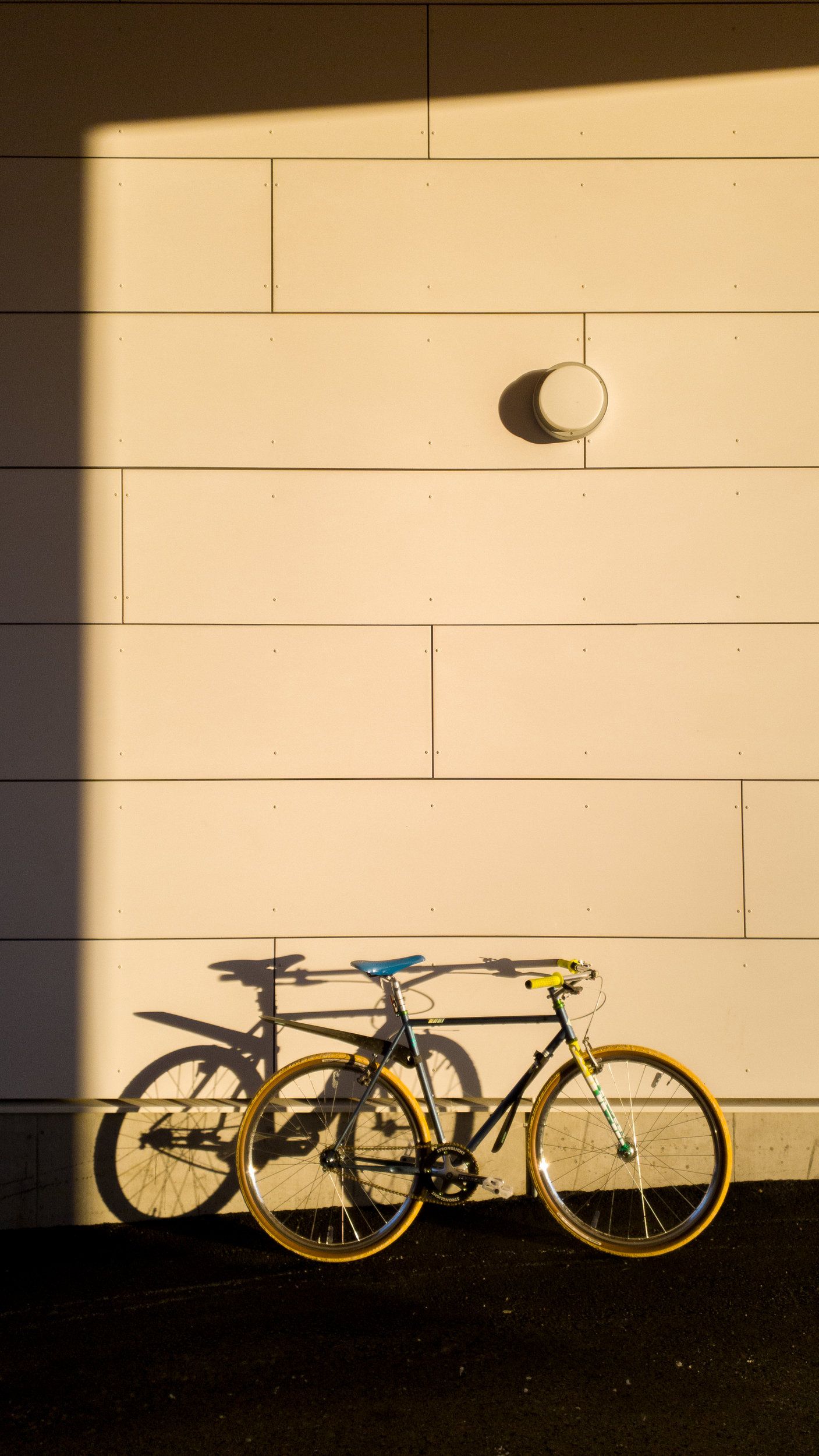 20201201_115410.jpg