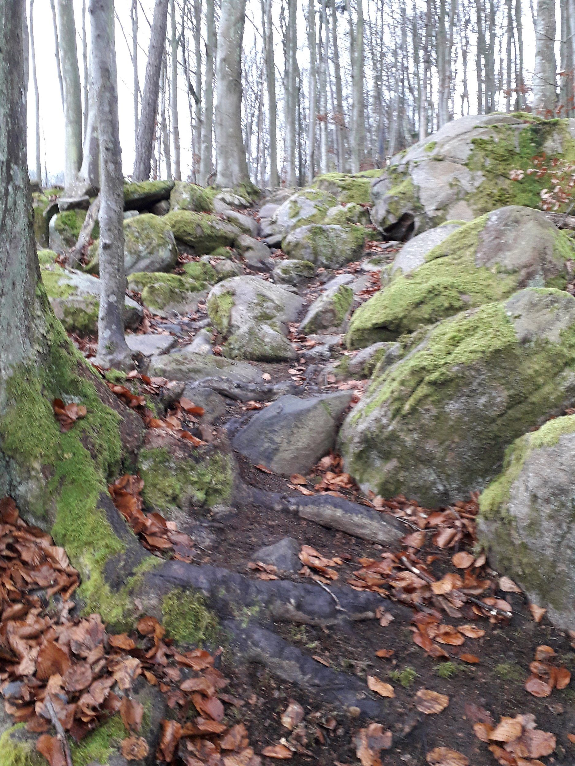 20201201_123353.jpg