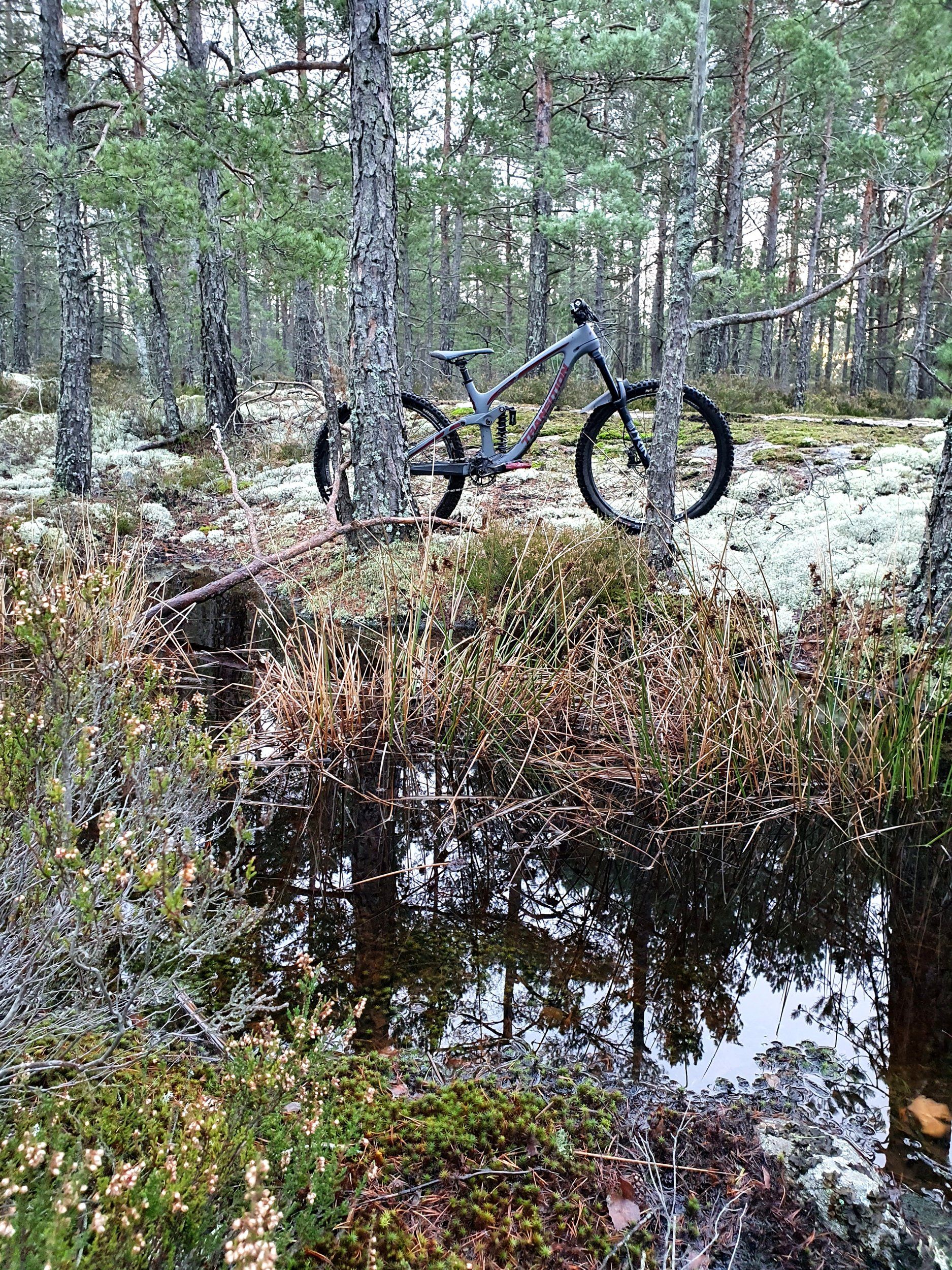 20201203_072826.jpg