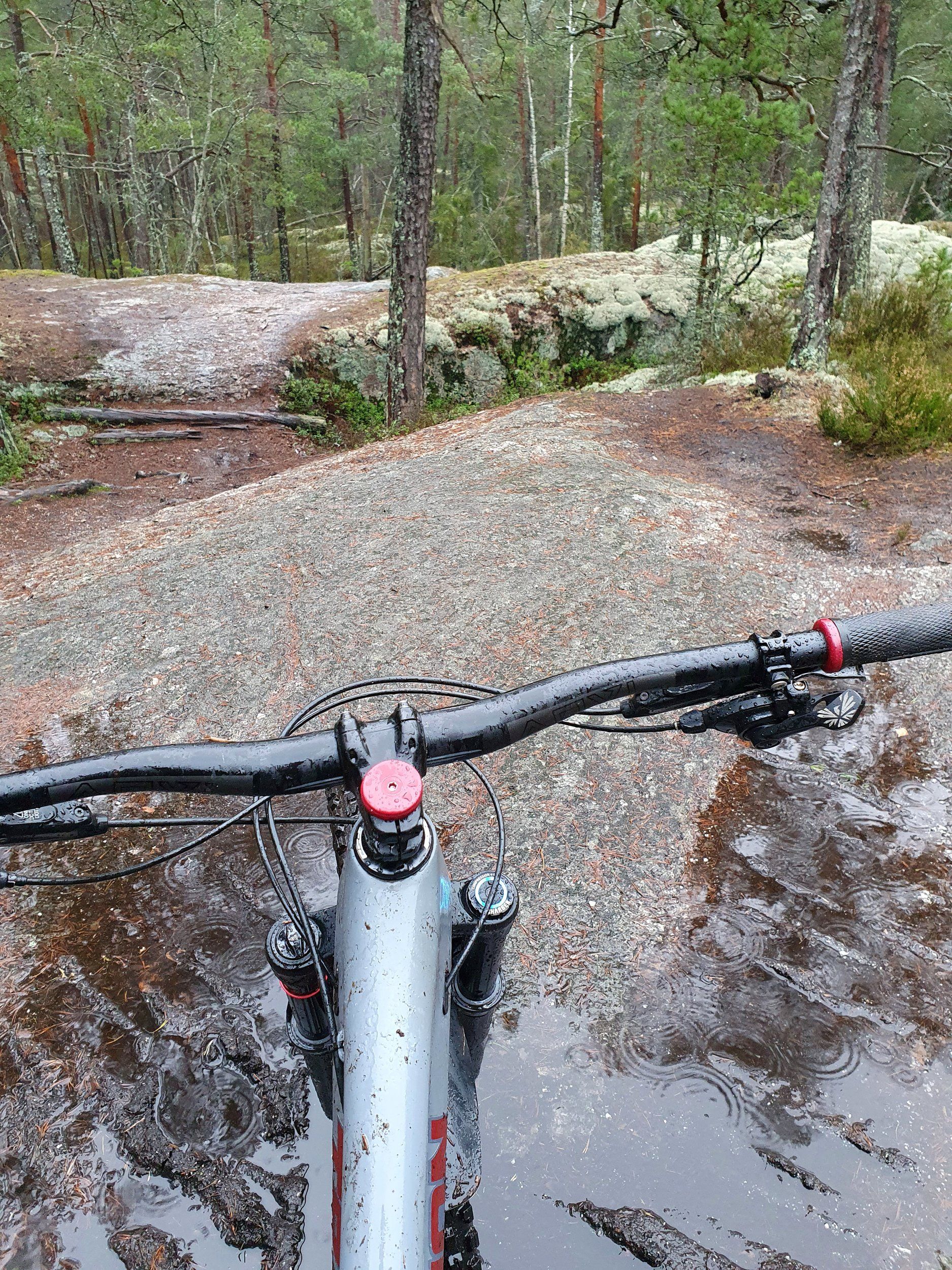20201204_110741.jpg