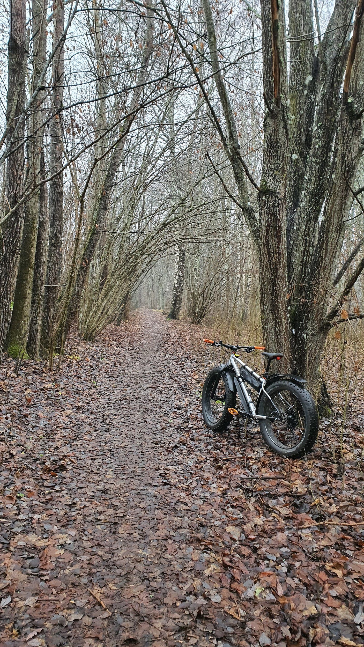 20201205_105641.jpg