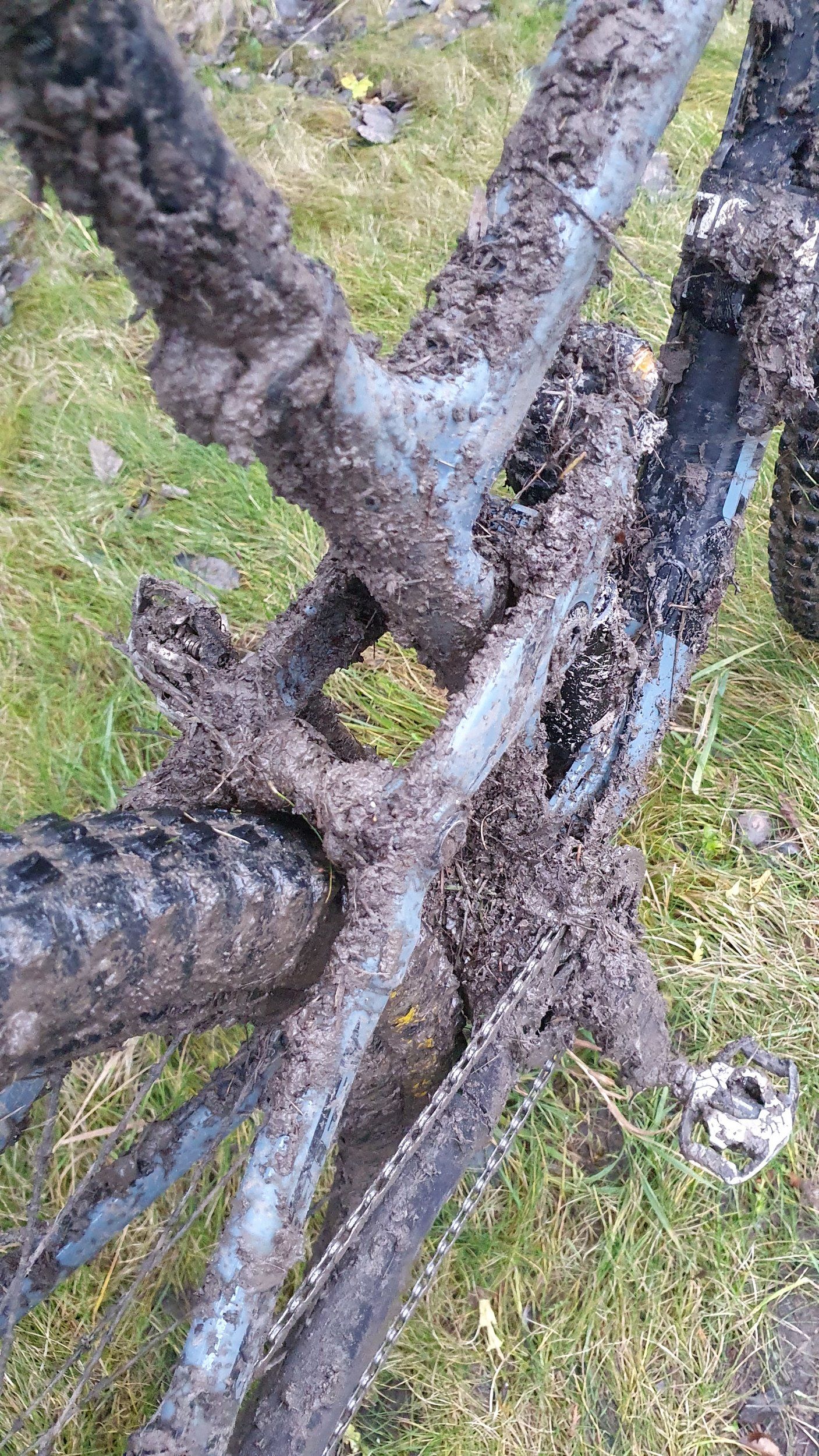 20201206_130059.jpg