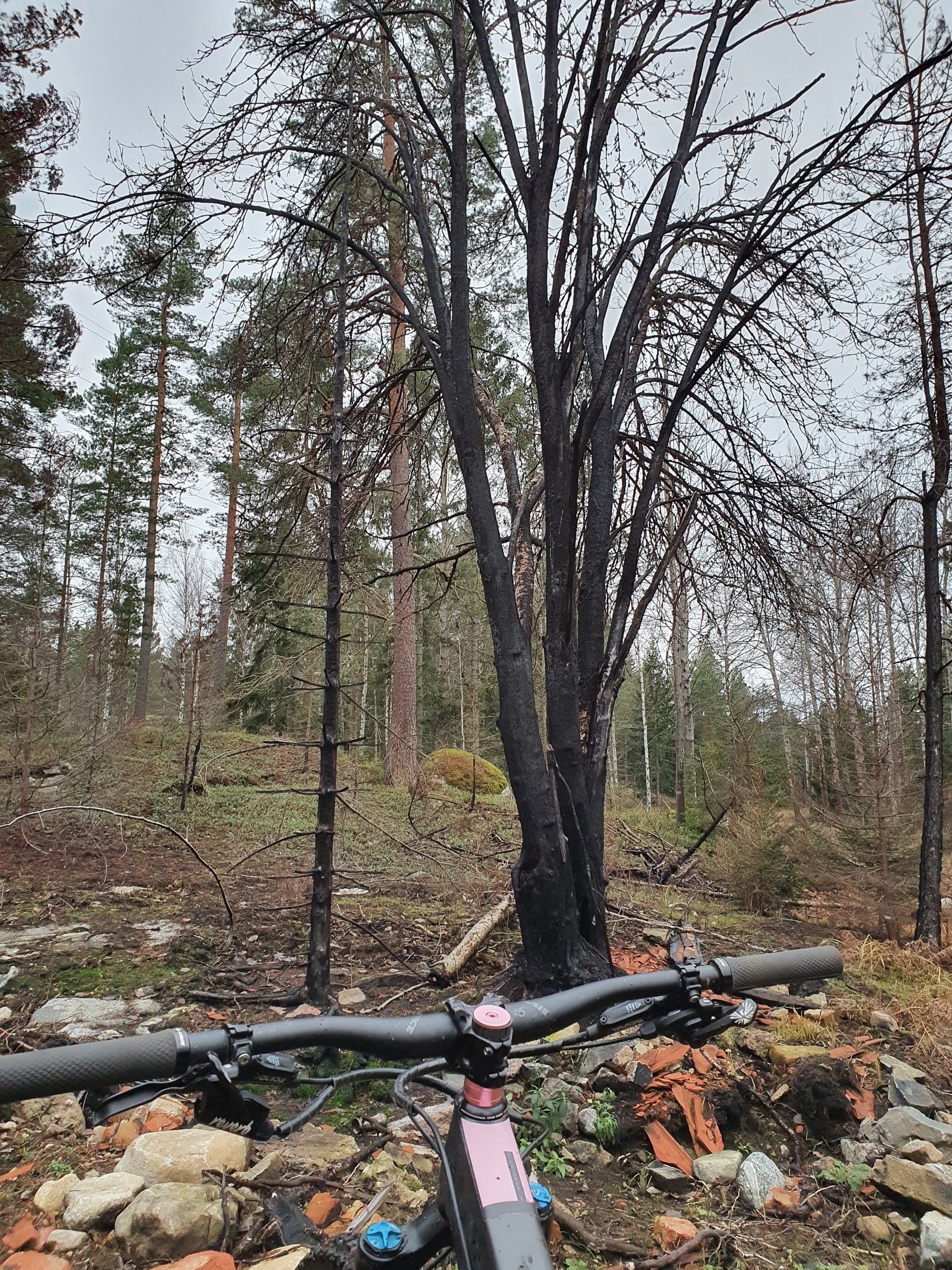 20201207_135735.jpg