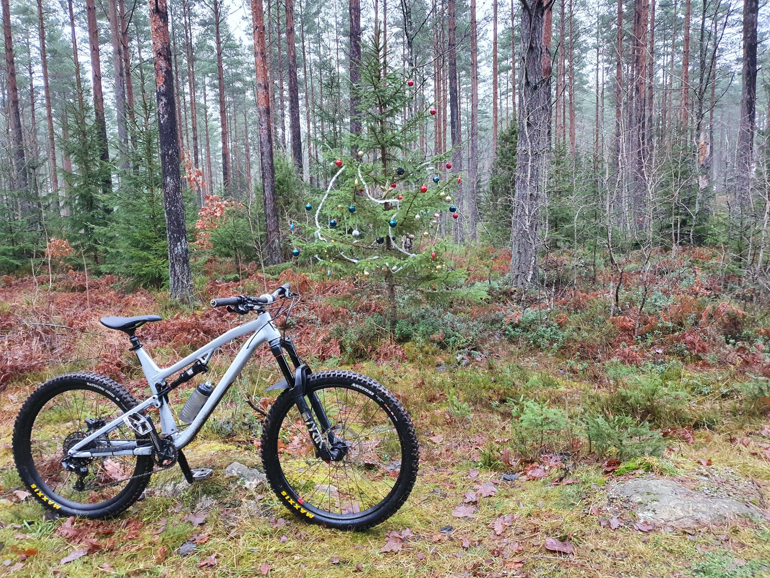 20201209_112607.jpg